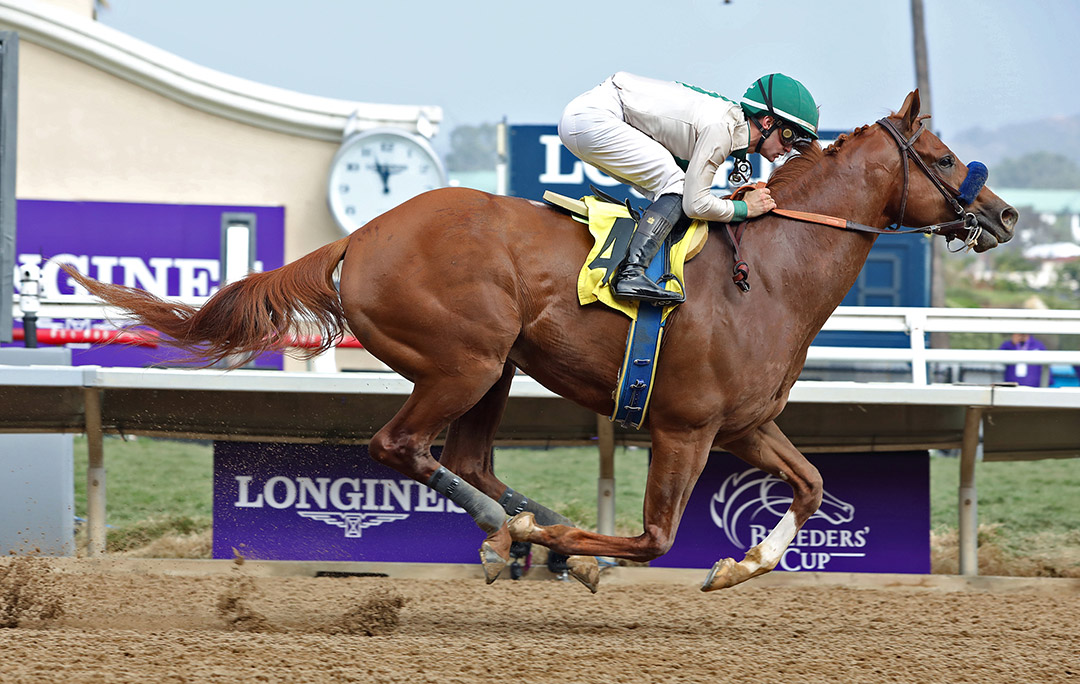 Triple Tap wins a Nov. 5 allowance at Del Mar