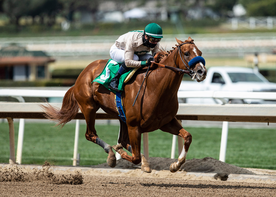Triple Tap wins a March 13 maiden race at Santa Anita Park