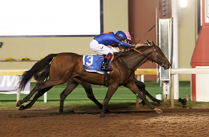 Trixie Racer (3) wins the 2019 E.L. Gaylord Memorial Stakes at Remington Park