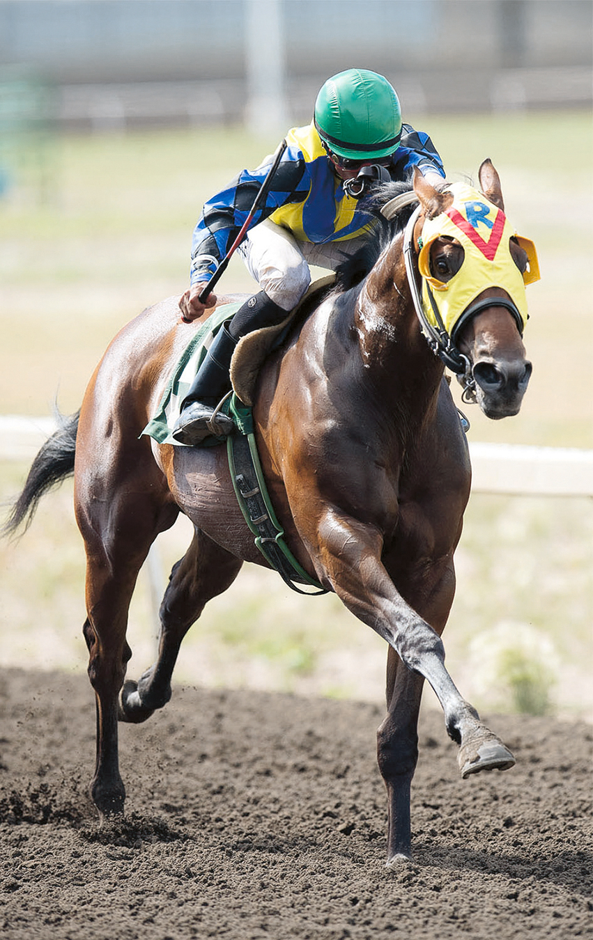 Trooper John wins the 2017 Count Lathum Handicap