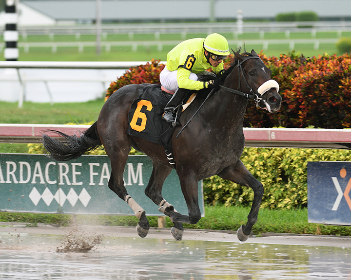 Trophy Chaser wins an Aug. 25 maiden race