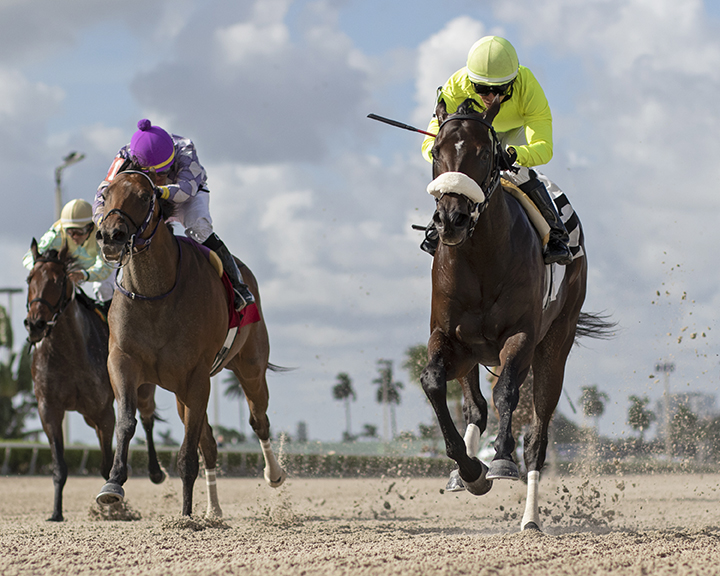 Trophy Chaser wins an Aug. 30 allowance at Gulfstream Park