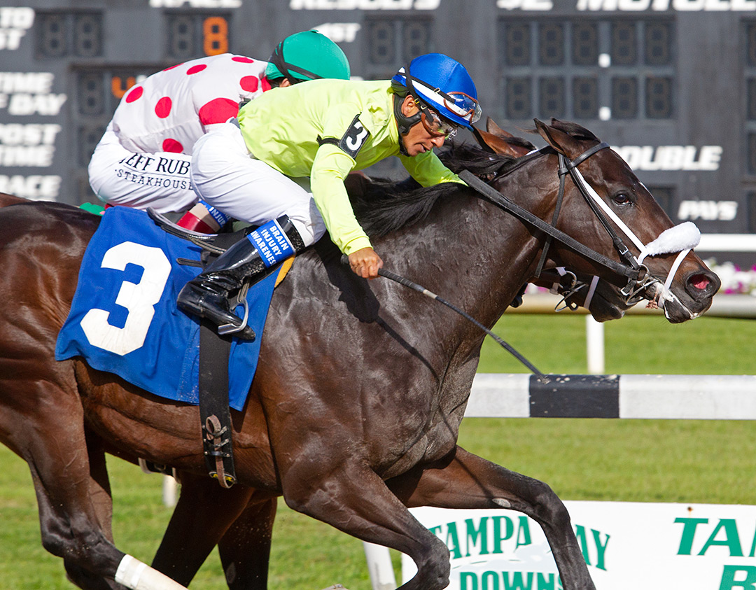 Trophy Chaser (3) wins the 2020 Challenger Stakes at Tampa Bay Downs