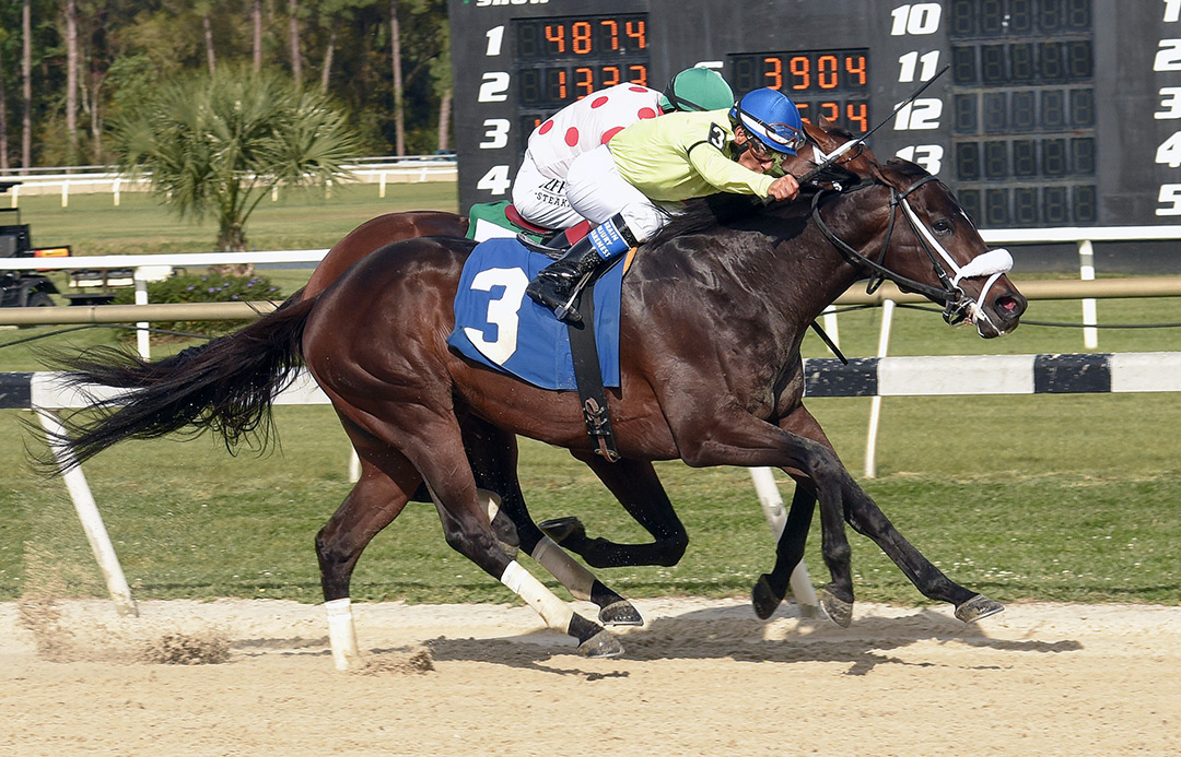 Trophy Chaser (3) wins the 2020 Challenger Stakes at Tampa Bay Downs
