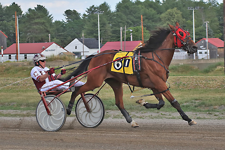 Trotting for Cash_case
