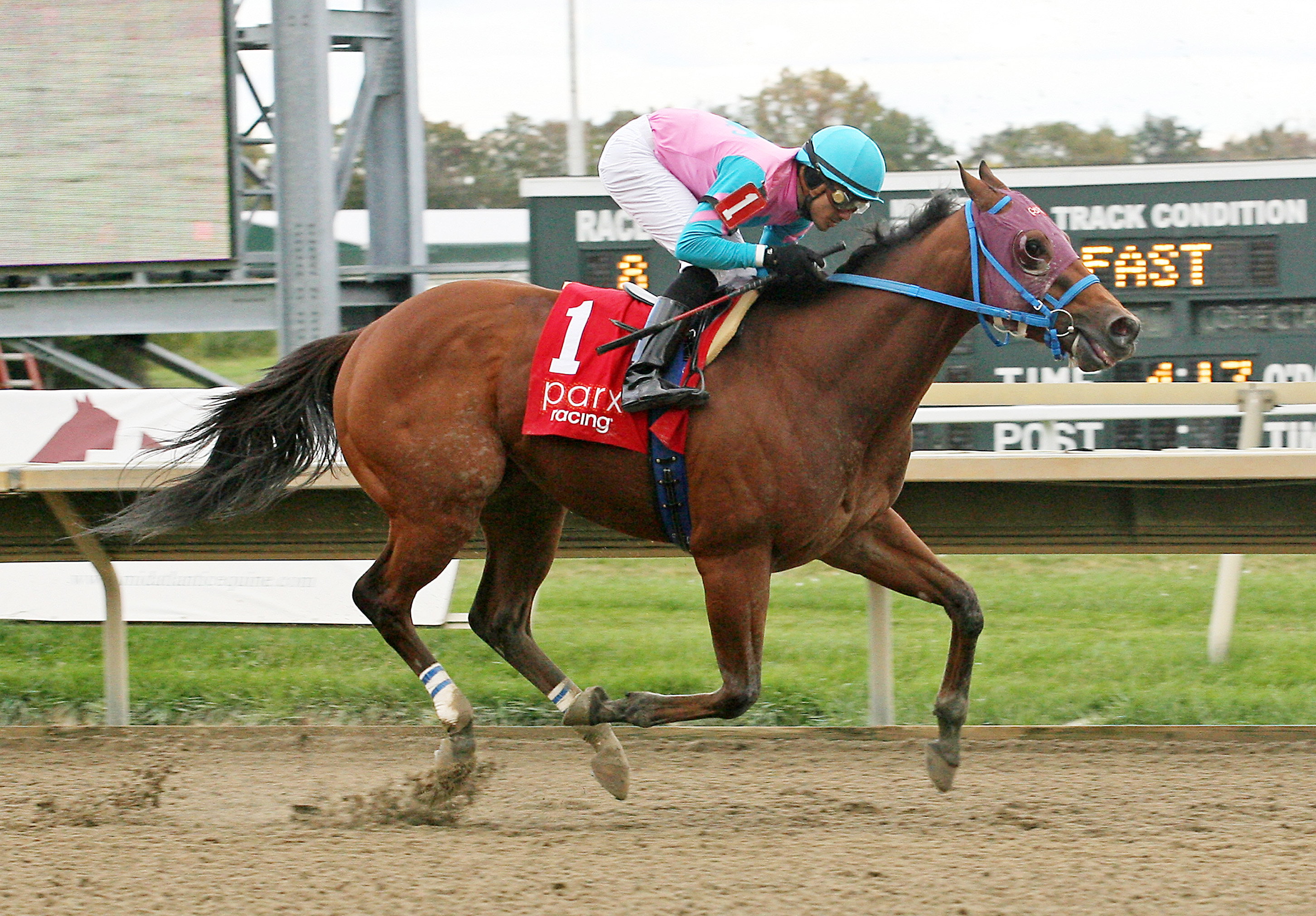 Trouble Kid wins the Valley Forge