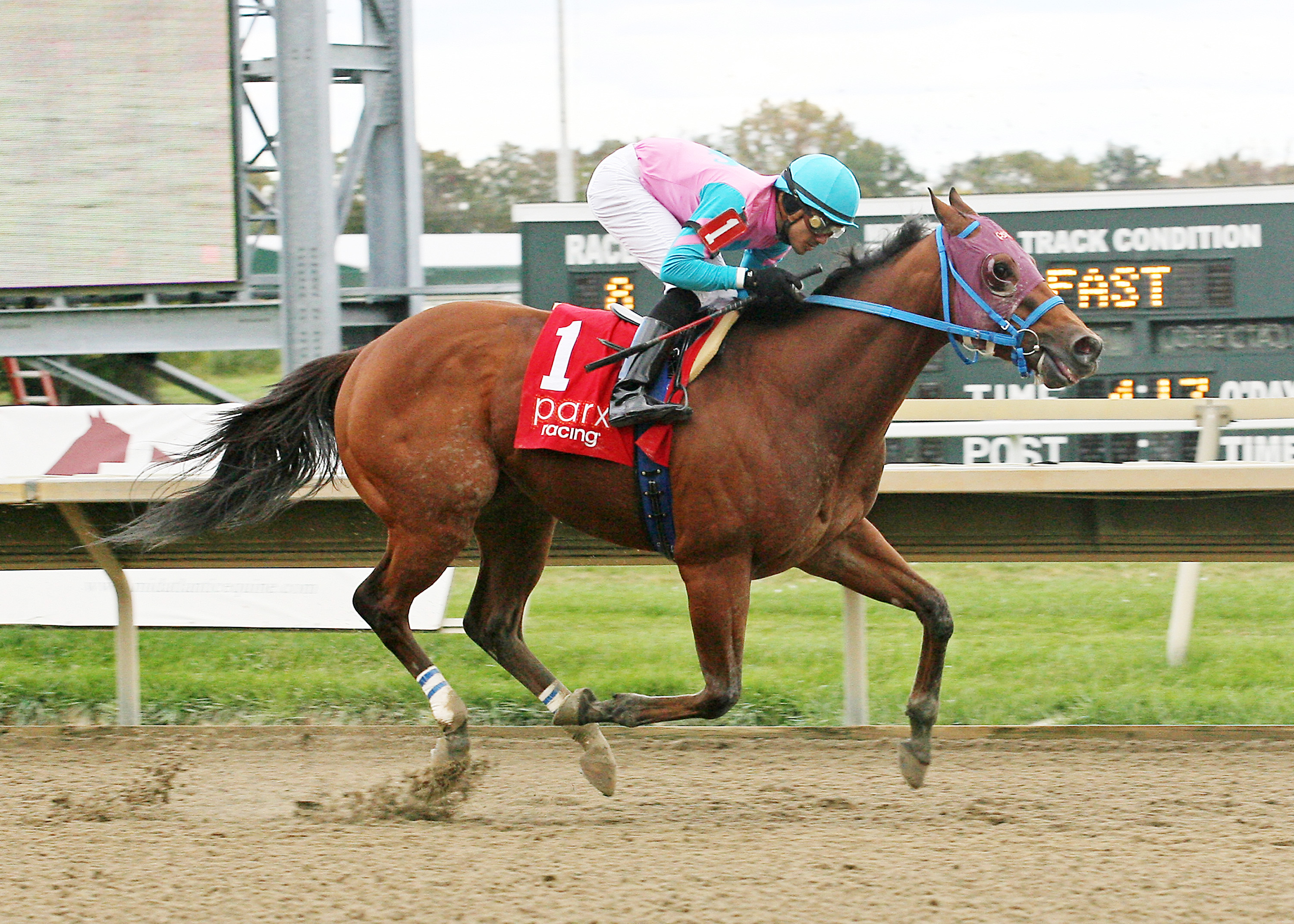 Trouble Kid wins the Valley Forge