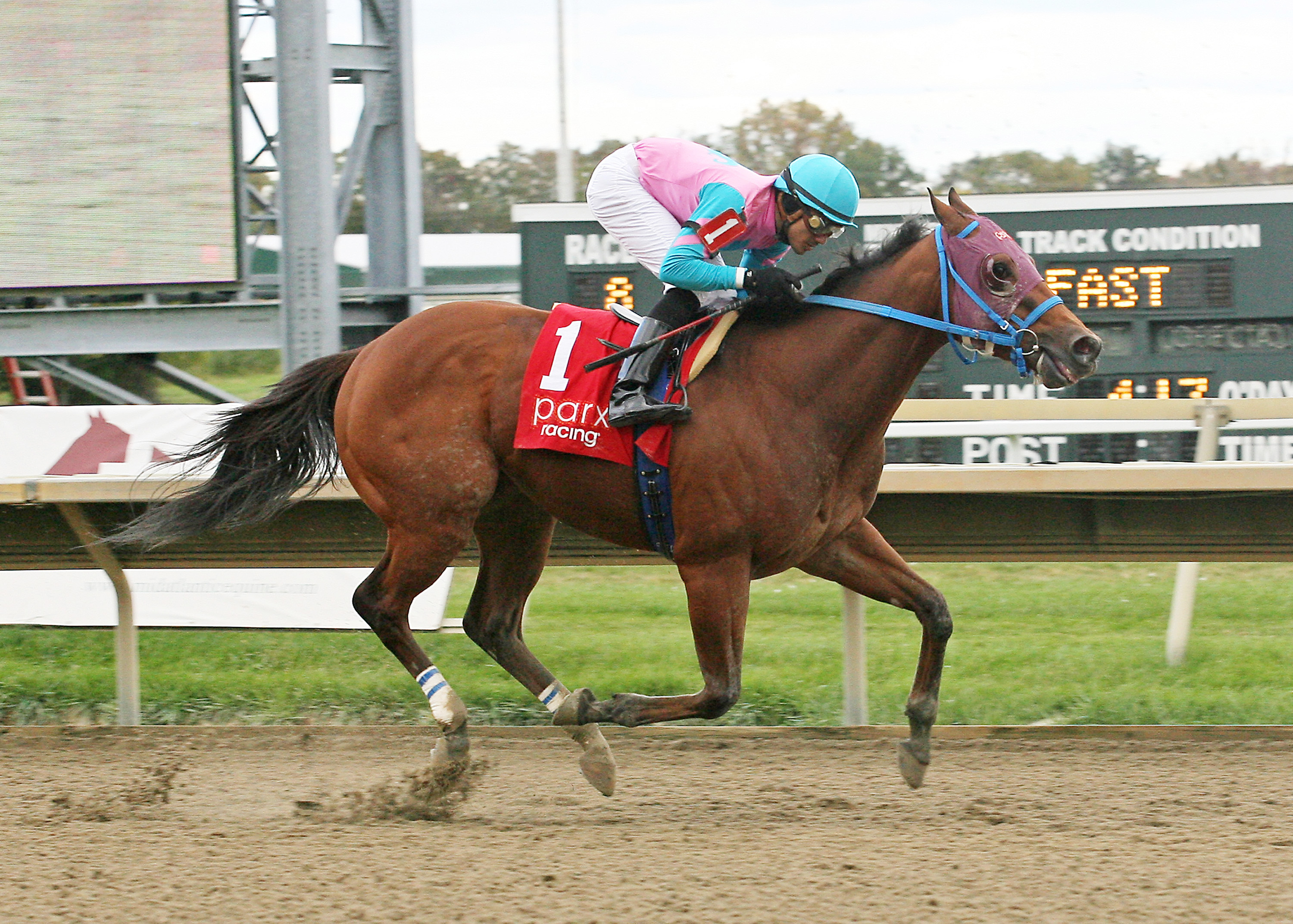 Trouble Kid wins the 2015 Valley Forge Stakes