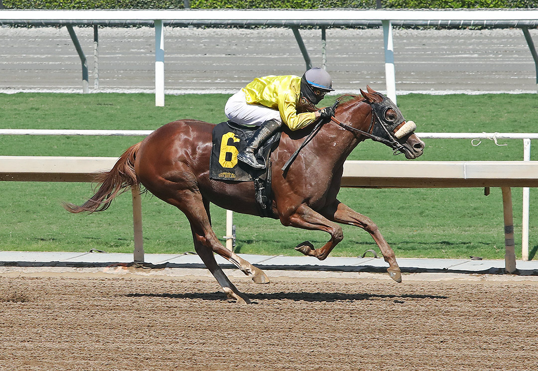 Trouville wins a Sept. 25, 2020 claiming race at Santa Anita