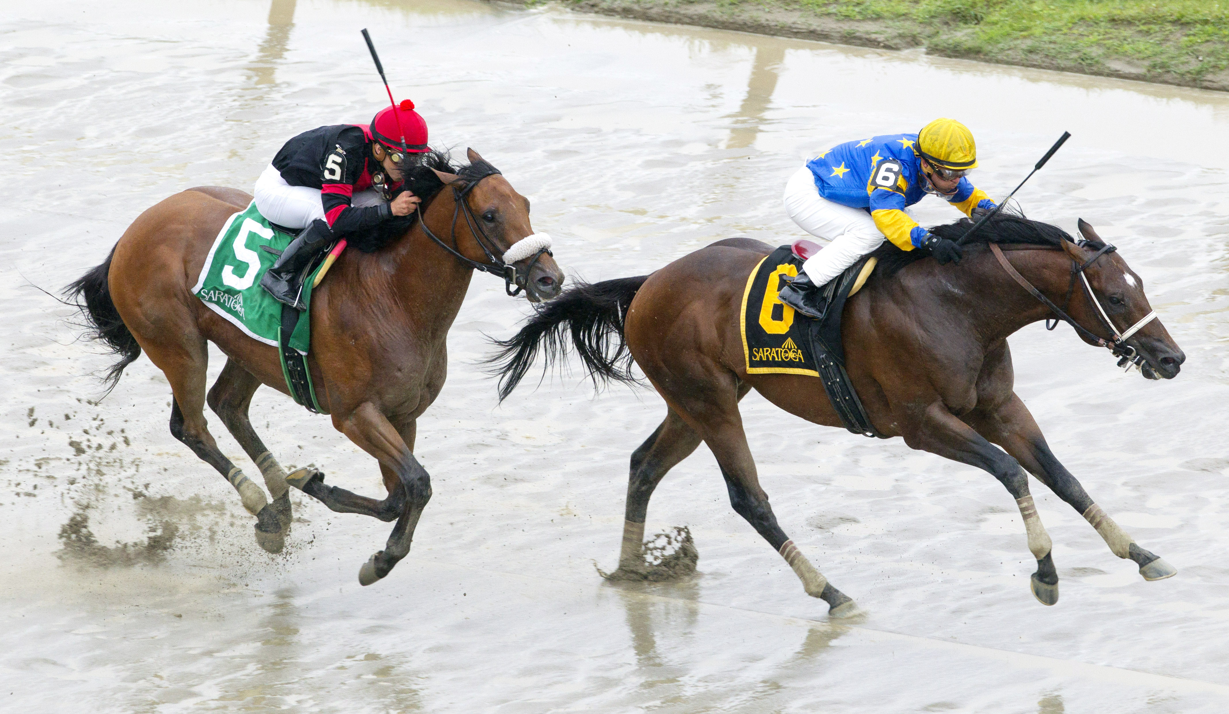 Spring to the Sky wins the Troy