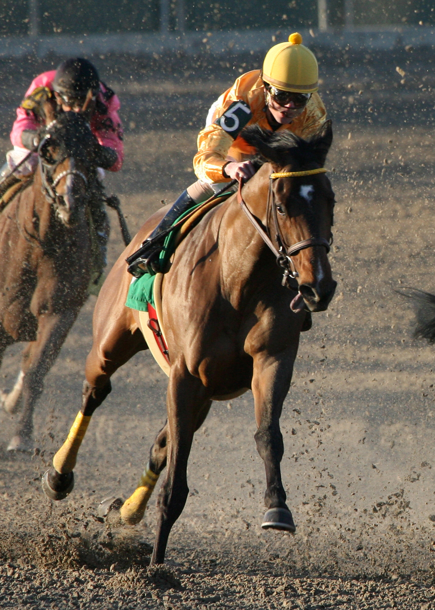 Trubs, Black Gold, Feb. 5, 2011