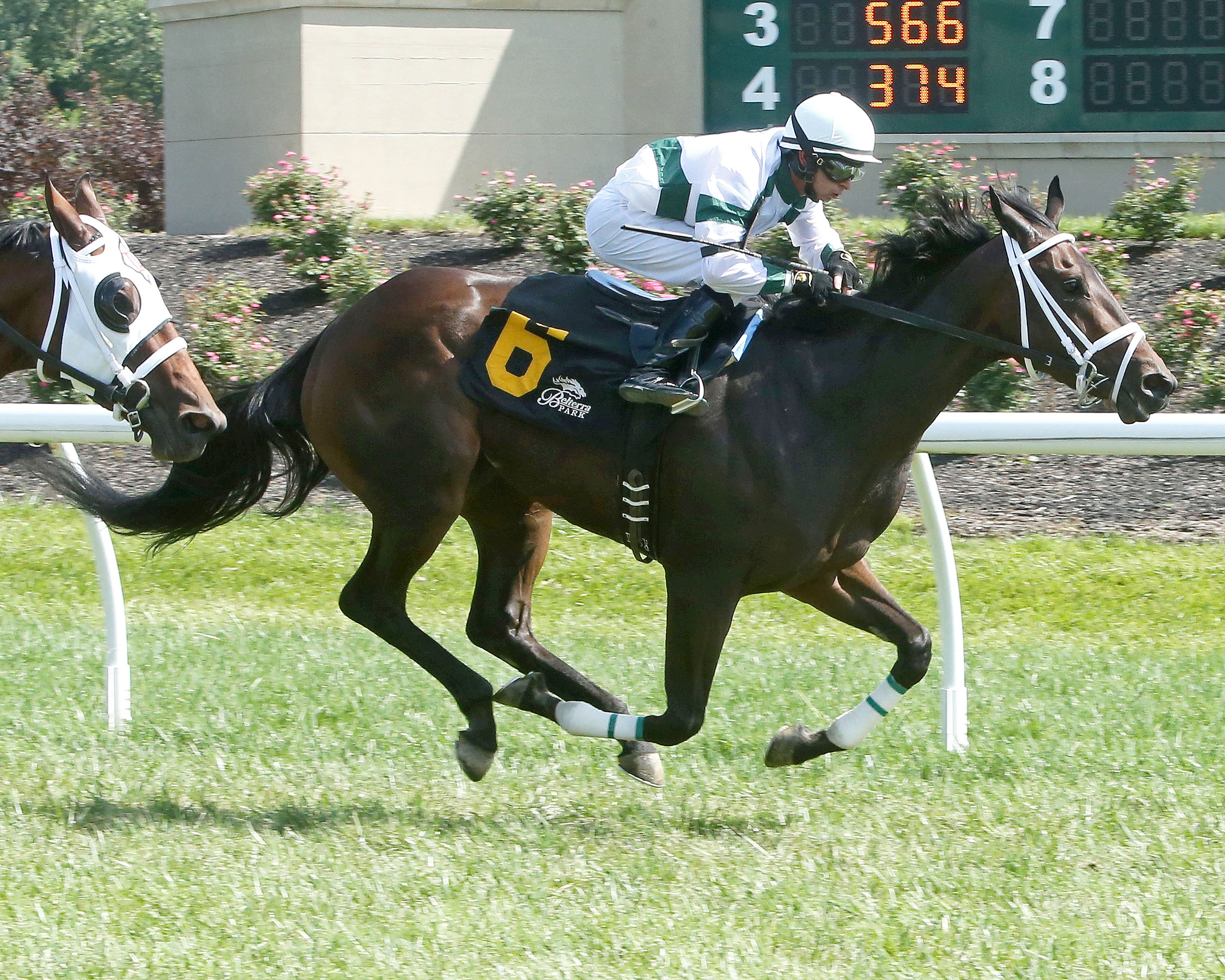 True Cinder wins the 2017 Cincinnatian Stakes