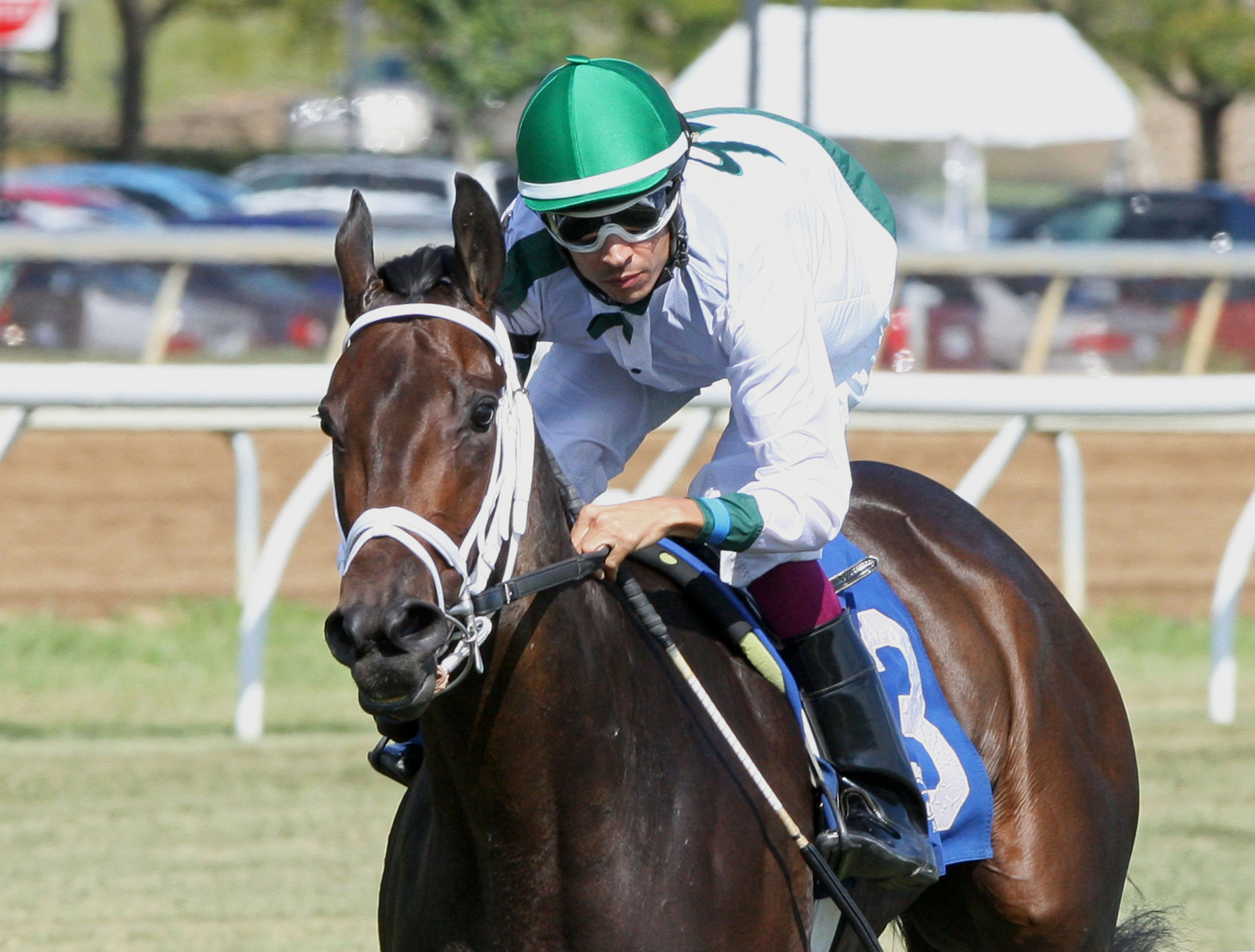 True Cinder wins the 2017 Horizon Stakes