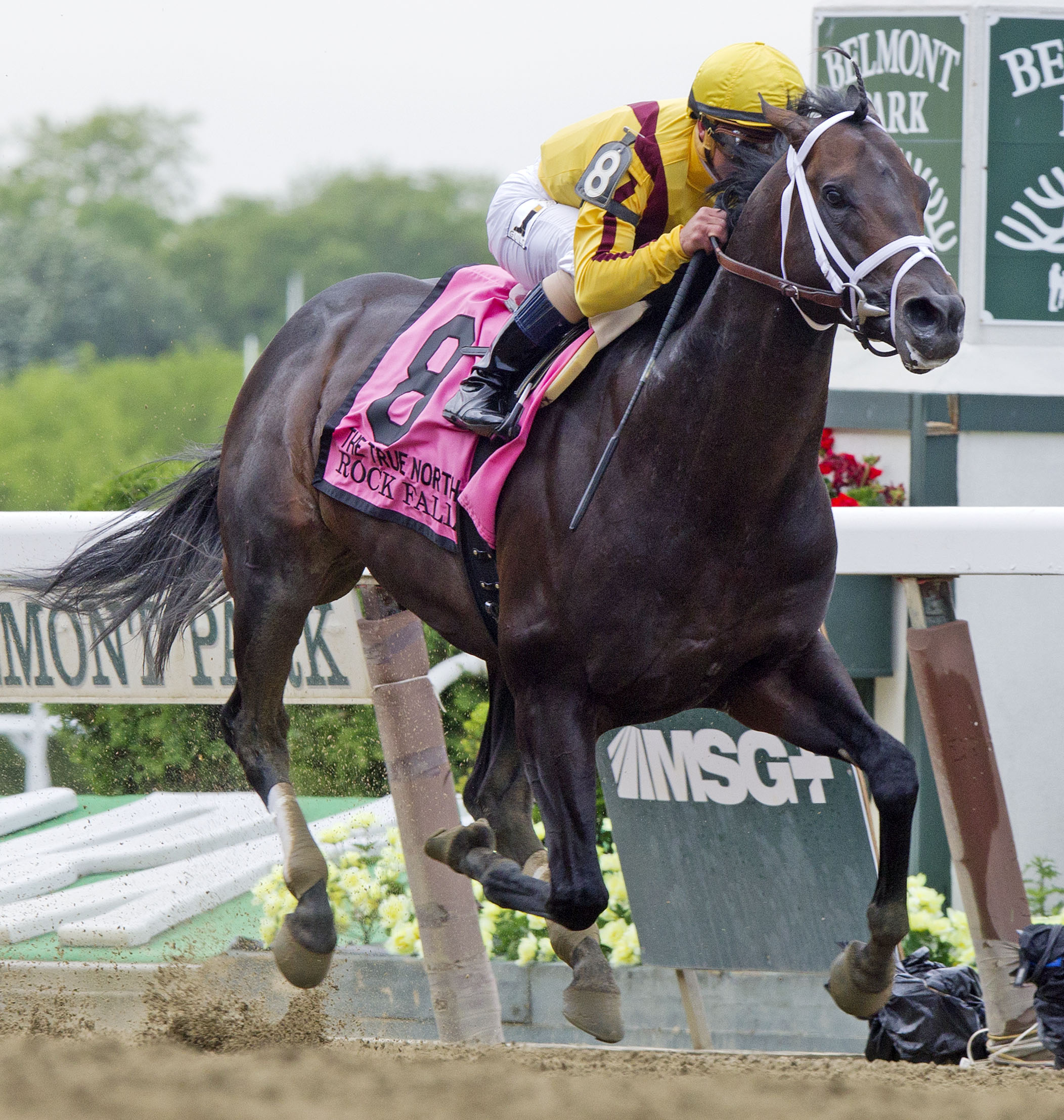Rock Fall wins 2015 True North