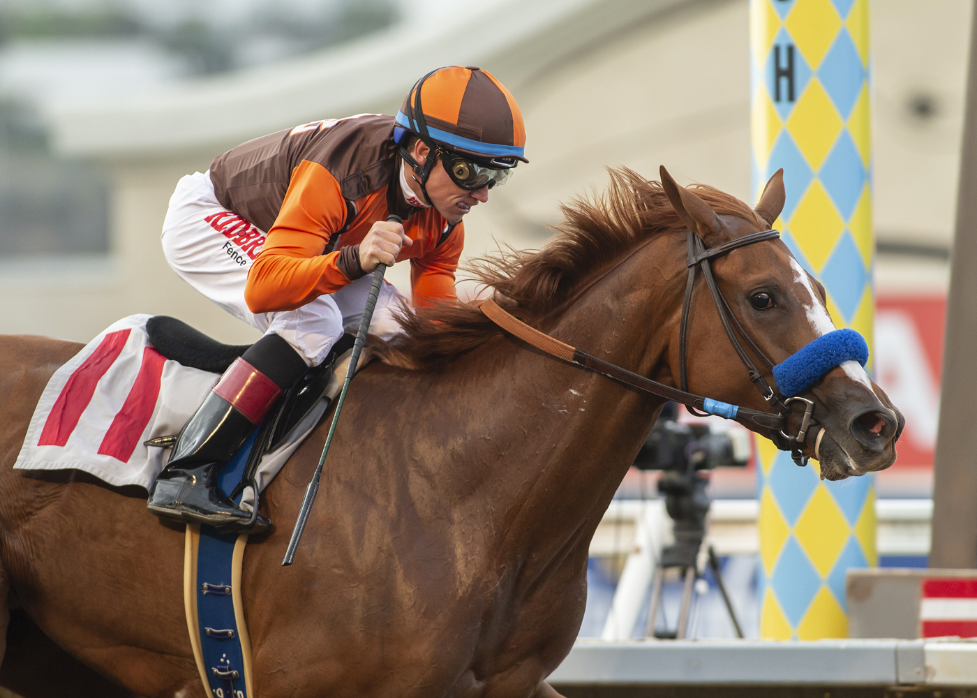 True Royalty wins 2018 Torrey Pines