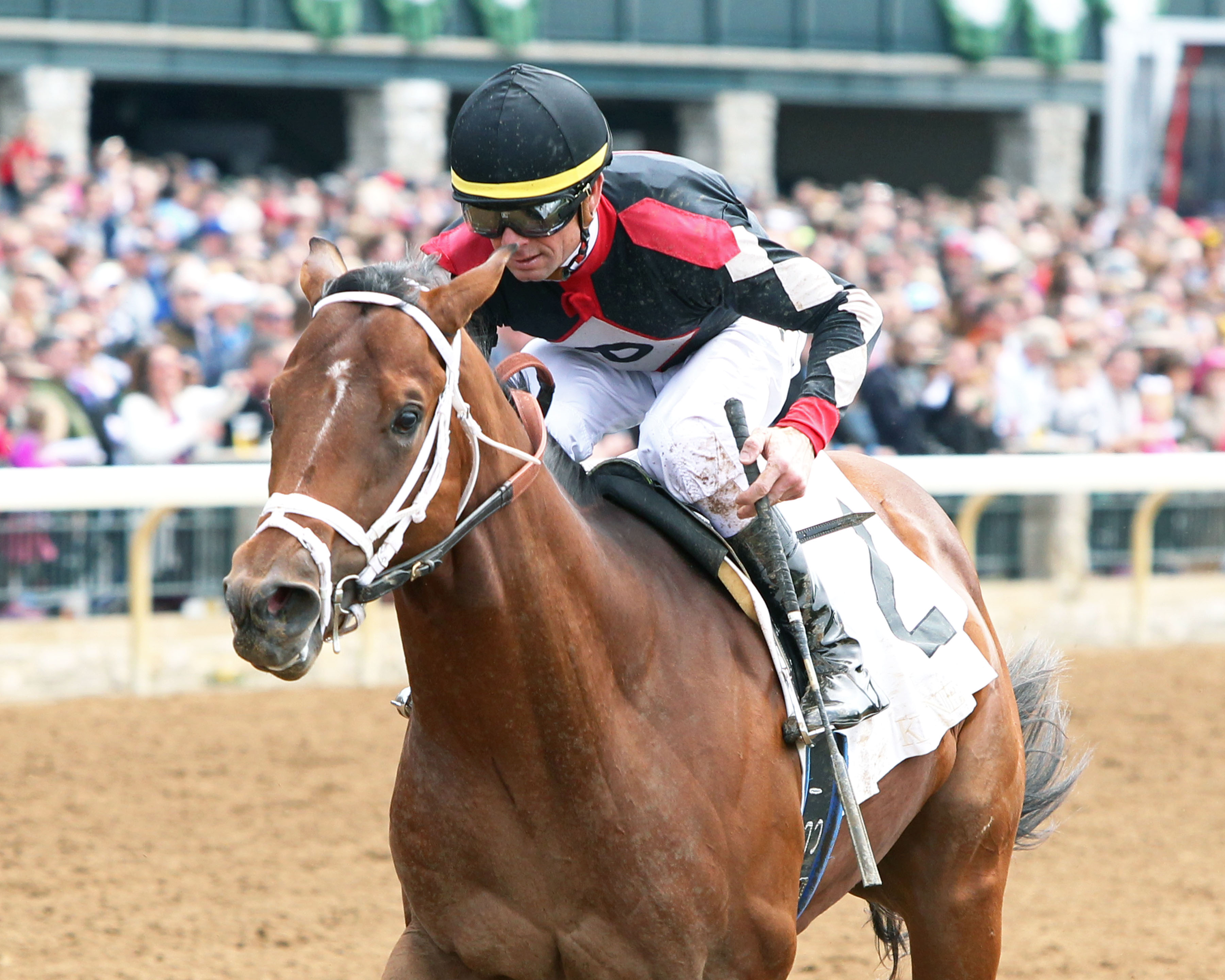 True Saint wins an April 6 maiden race
