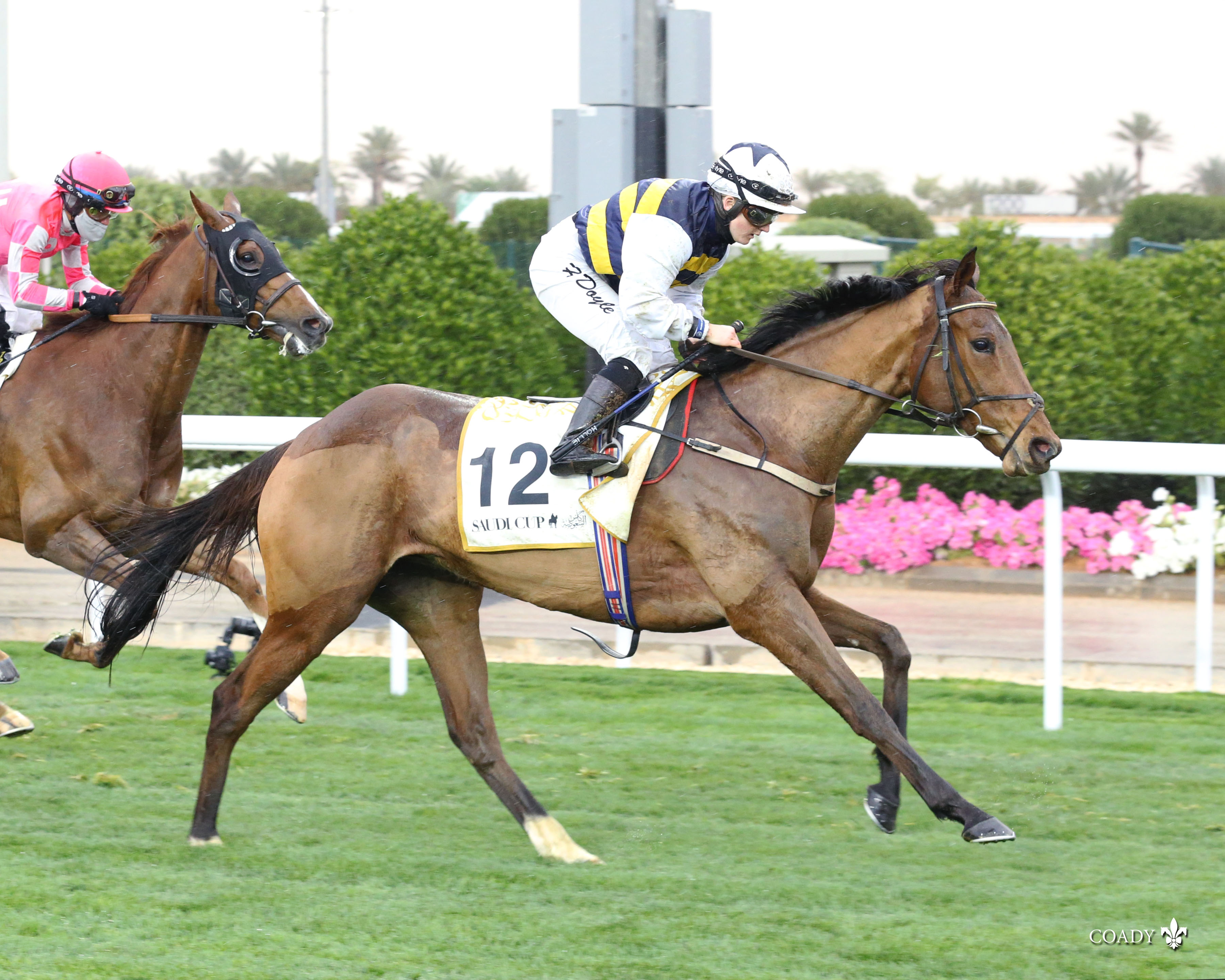 True Self - Neom Turf Cup