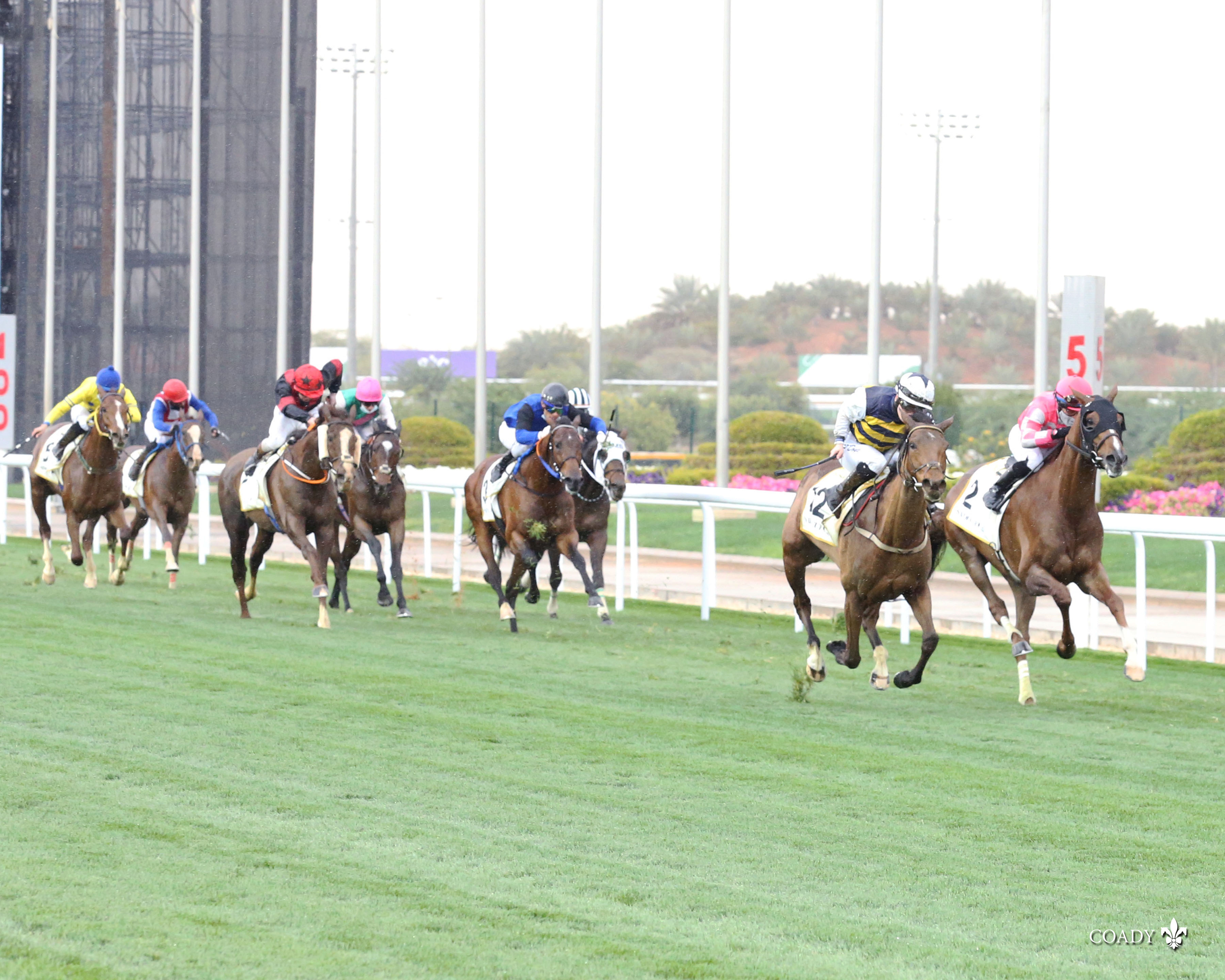 True South/Neom Turf Cup