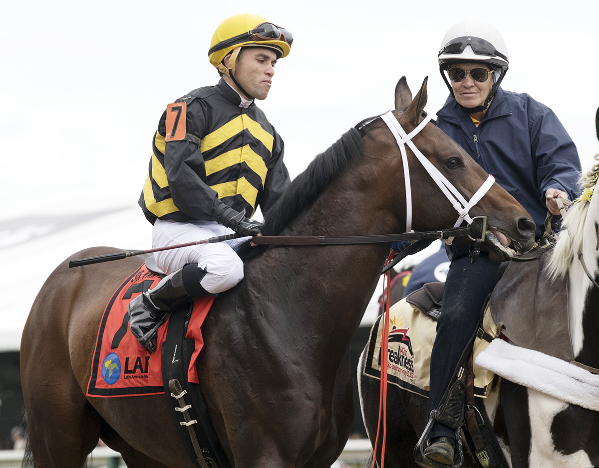 True Timber at the 2017 Sir Barton Stakes