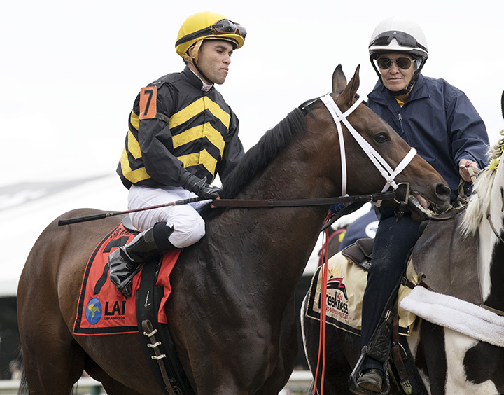 True Timber at the 2017 Sir Barton Stakes