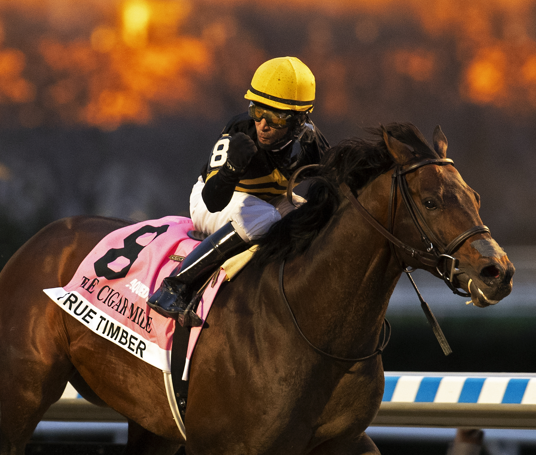 True Timber wins Cigar Mile followup 12-5-2020