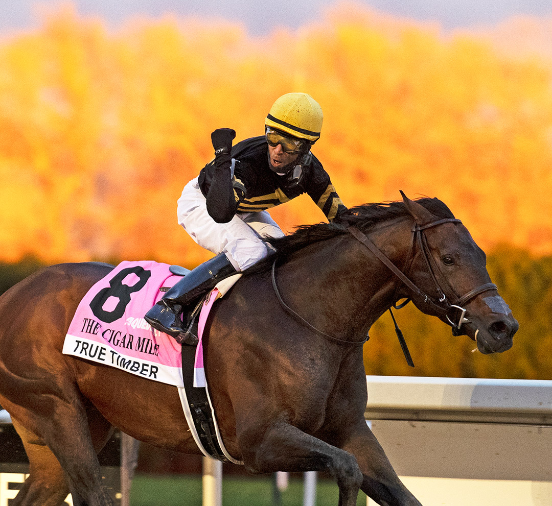 True Timber wins the 2020 Cigar Mile at Aqueduct