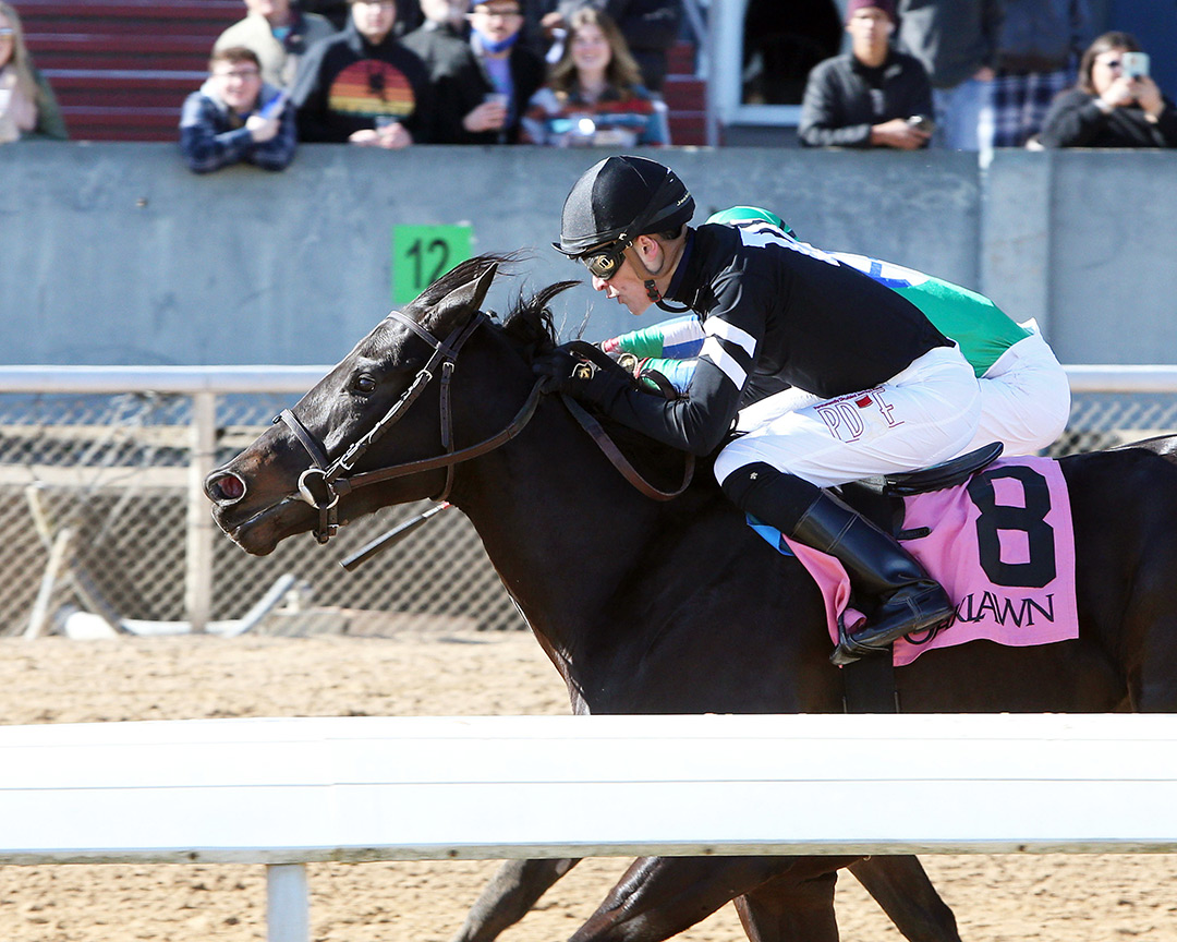 Truly a Rocket wins a Jan. 7 maiden at Oaklawn