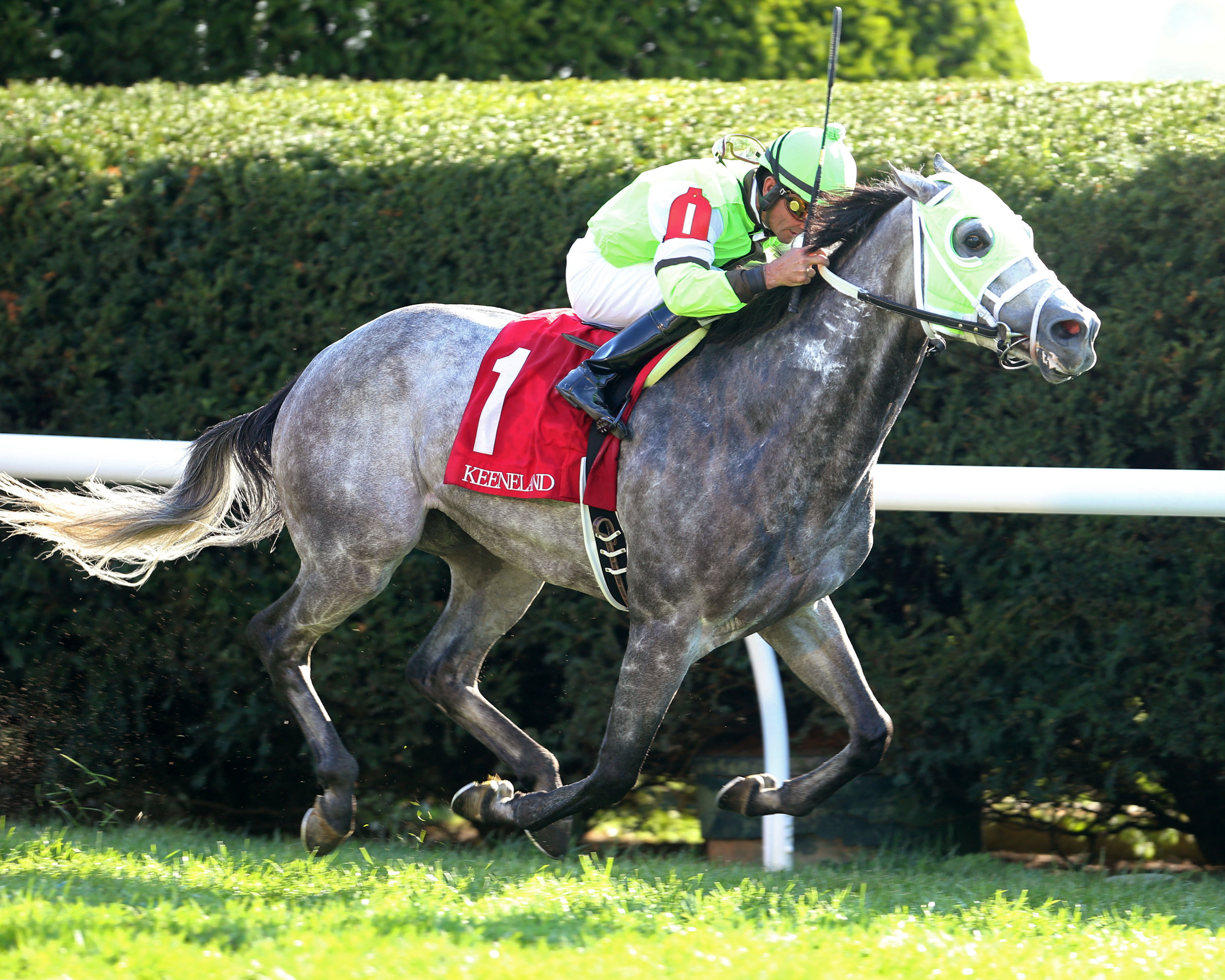 Trust Factor wins an Oct. 14 allowance race
