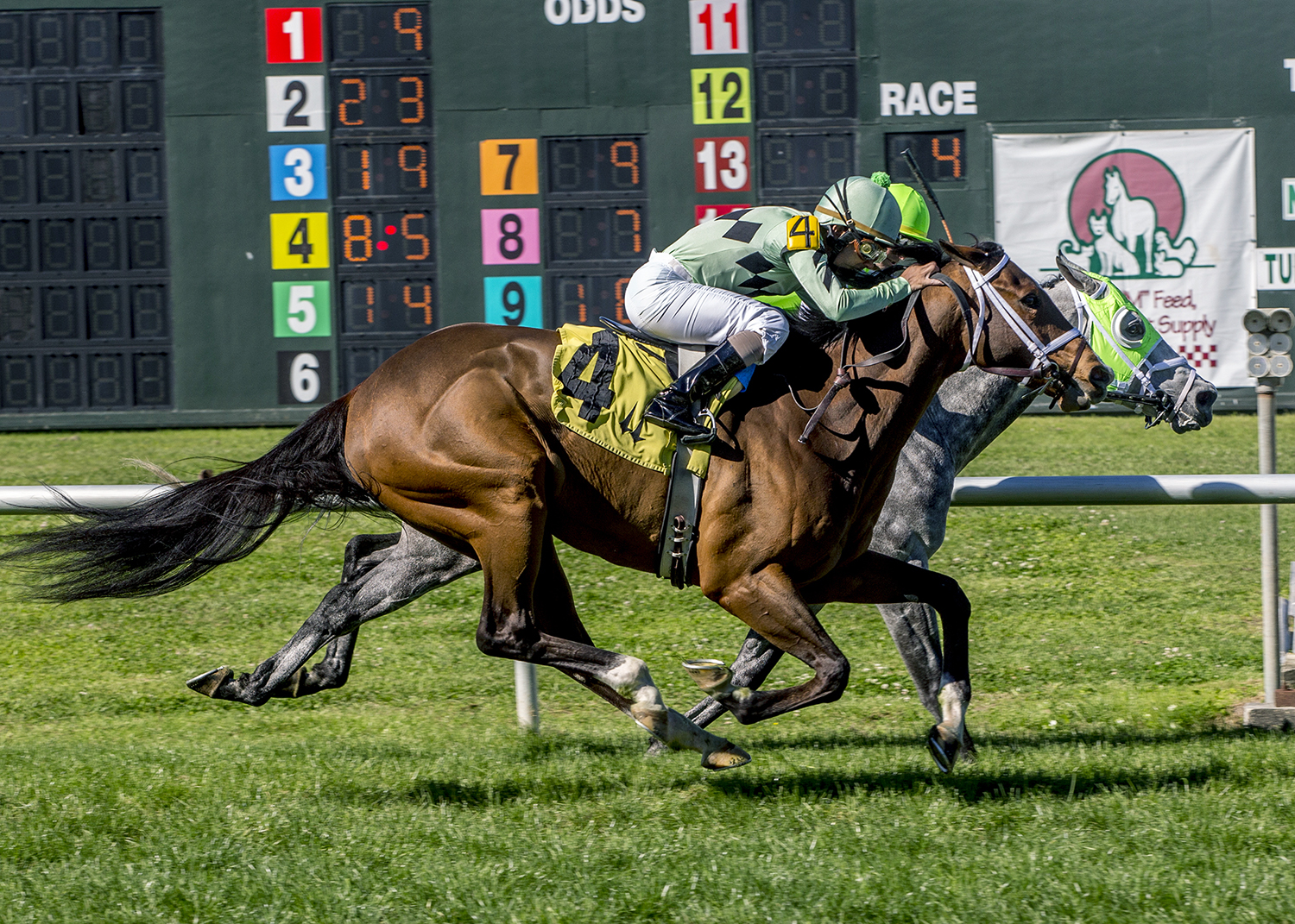 Extra Credit finishes second in the Dixie Poker Ace Stakes
