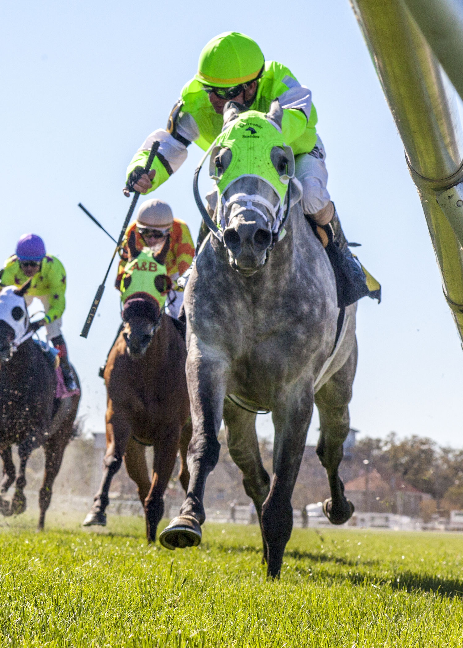 Trust Factor wins the 2018 Dixie Poker Ace Stakes