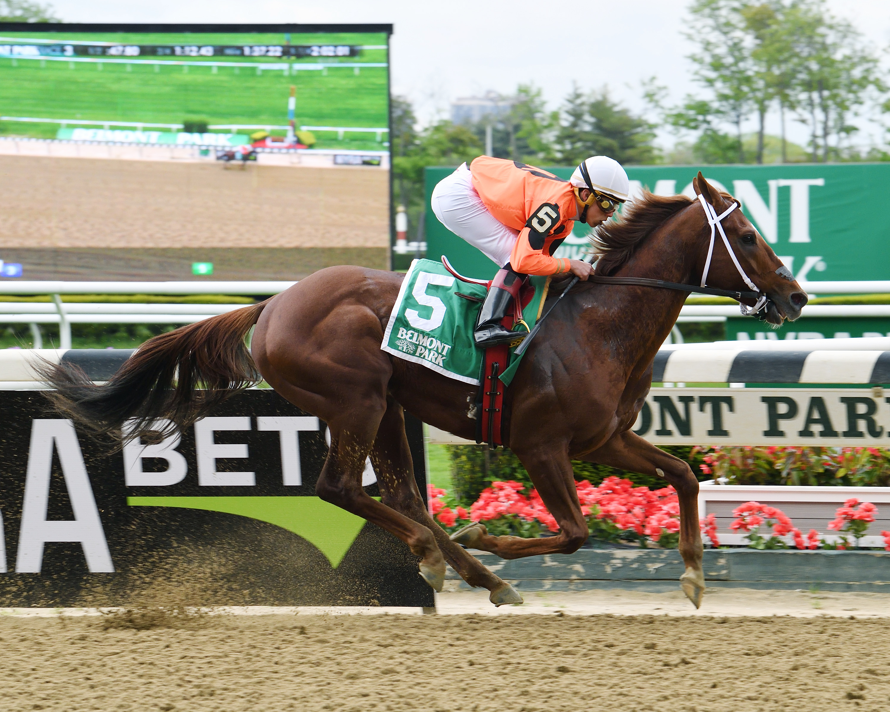 Tu Brutus wins the Flat Out Stakes