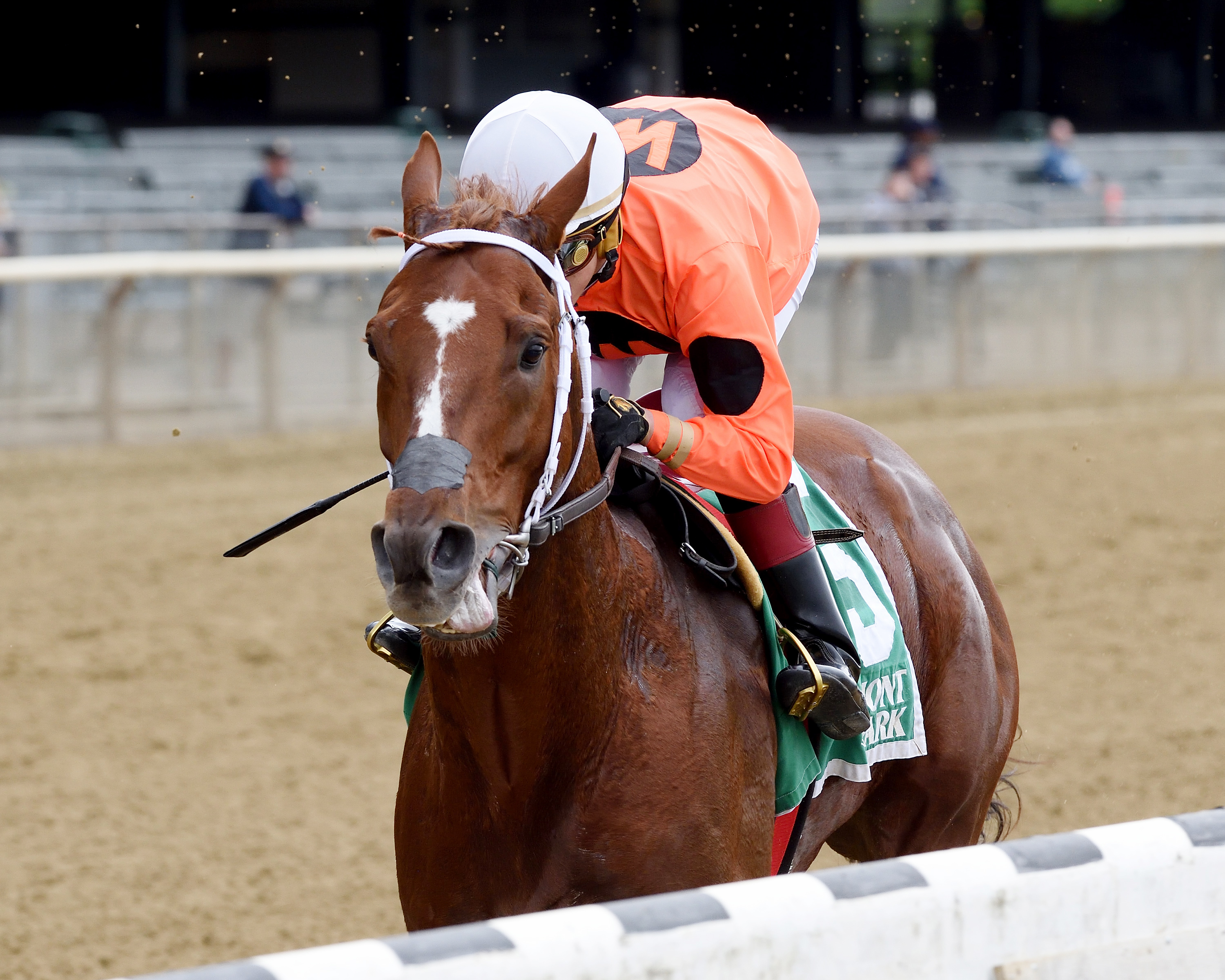 Tu Brutus wins the 2017 Flat Out Stakes