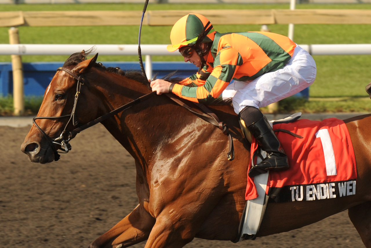 Tu Endie Wei/Seaway Stakes
