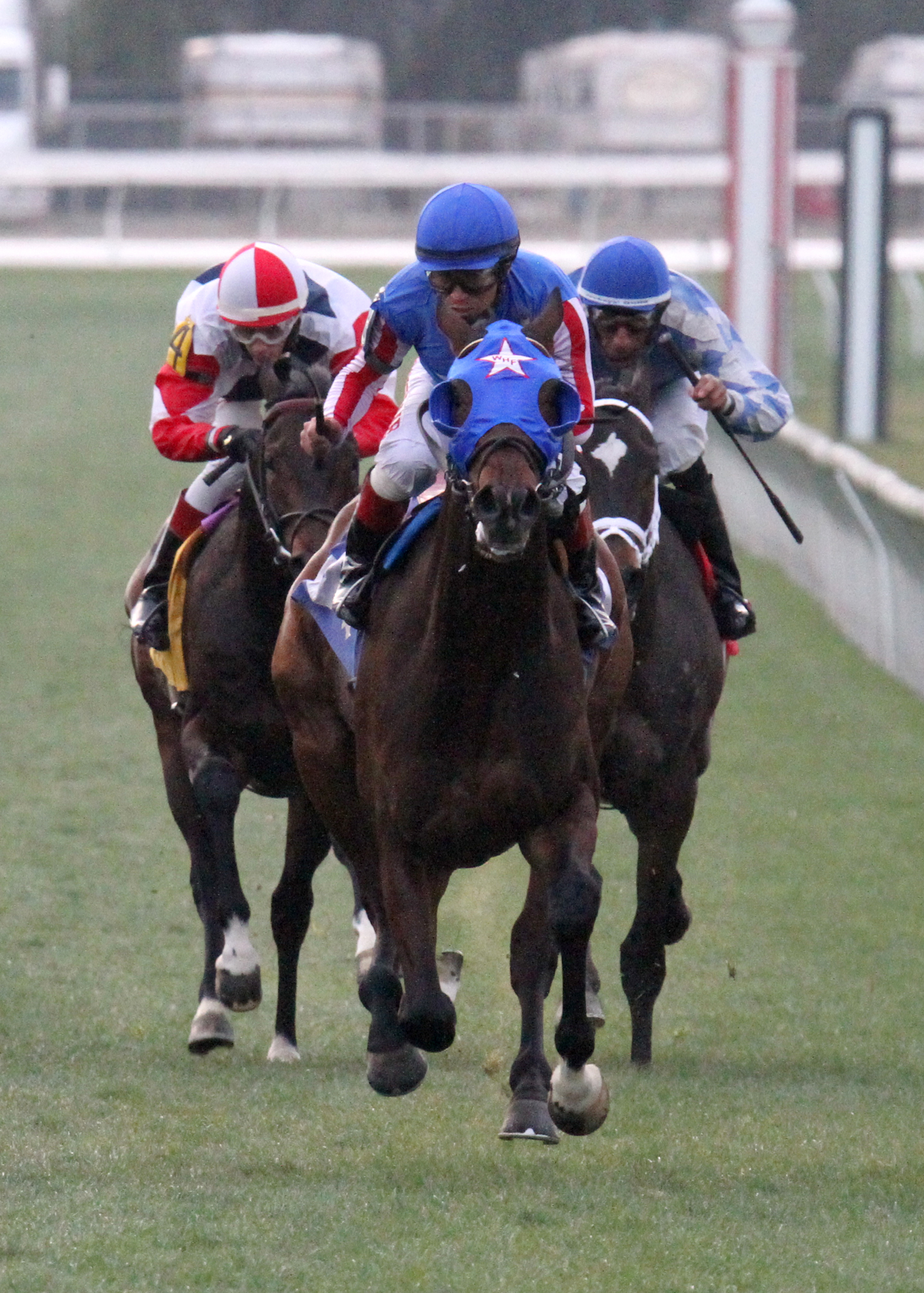 Tuba wins 2015 Black Gold