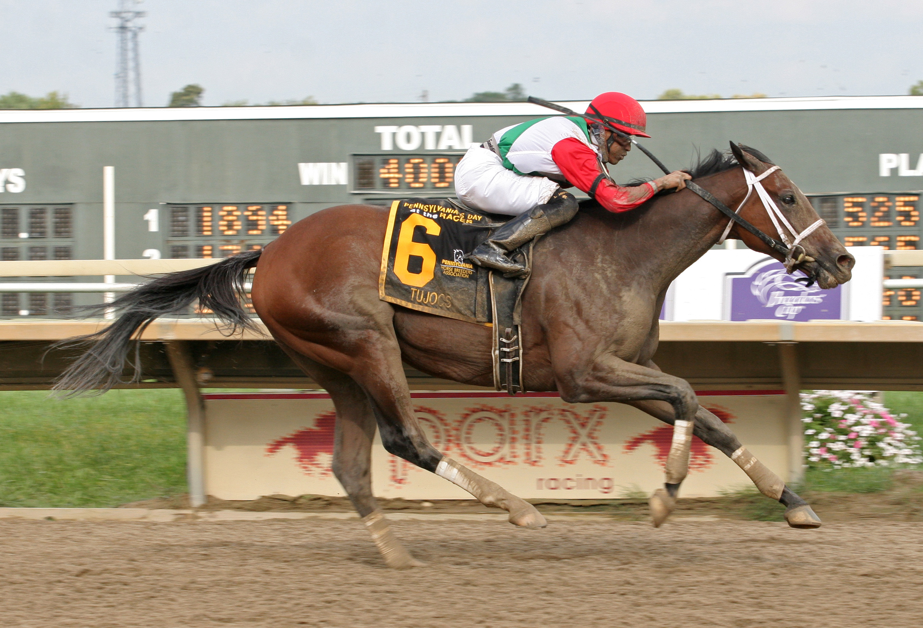 Tujoes 9-8-2012