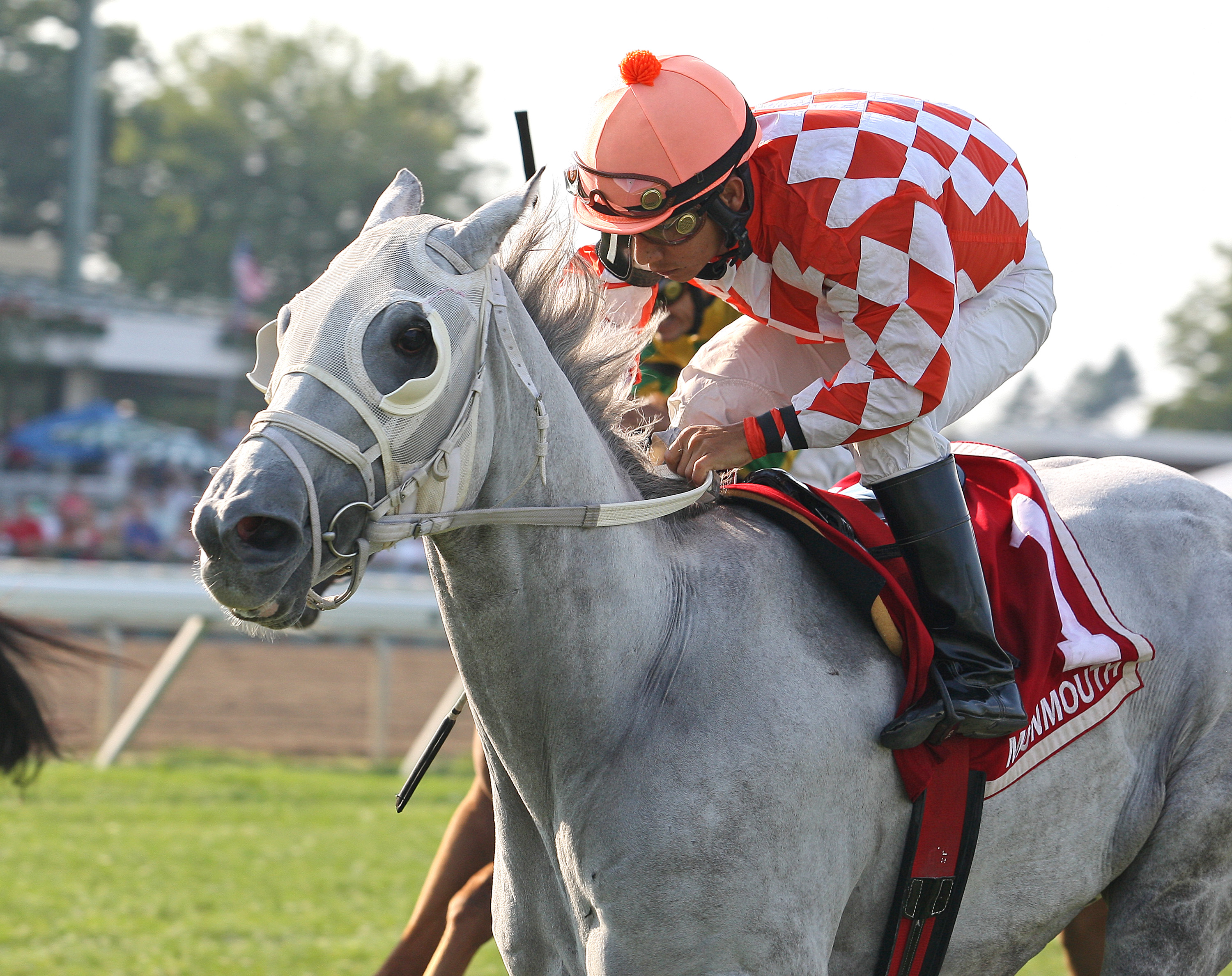 Tune Me In, 2012 Cliff Hanger Stakes