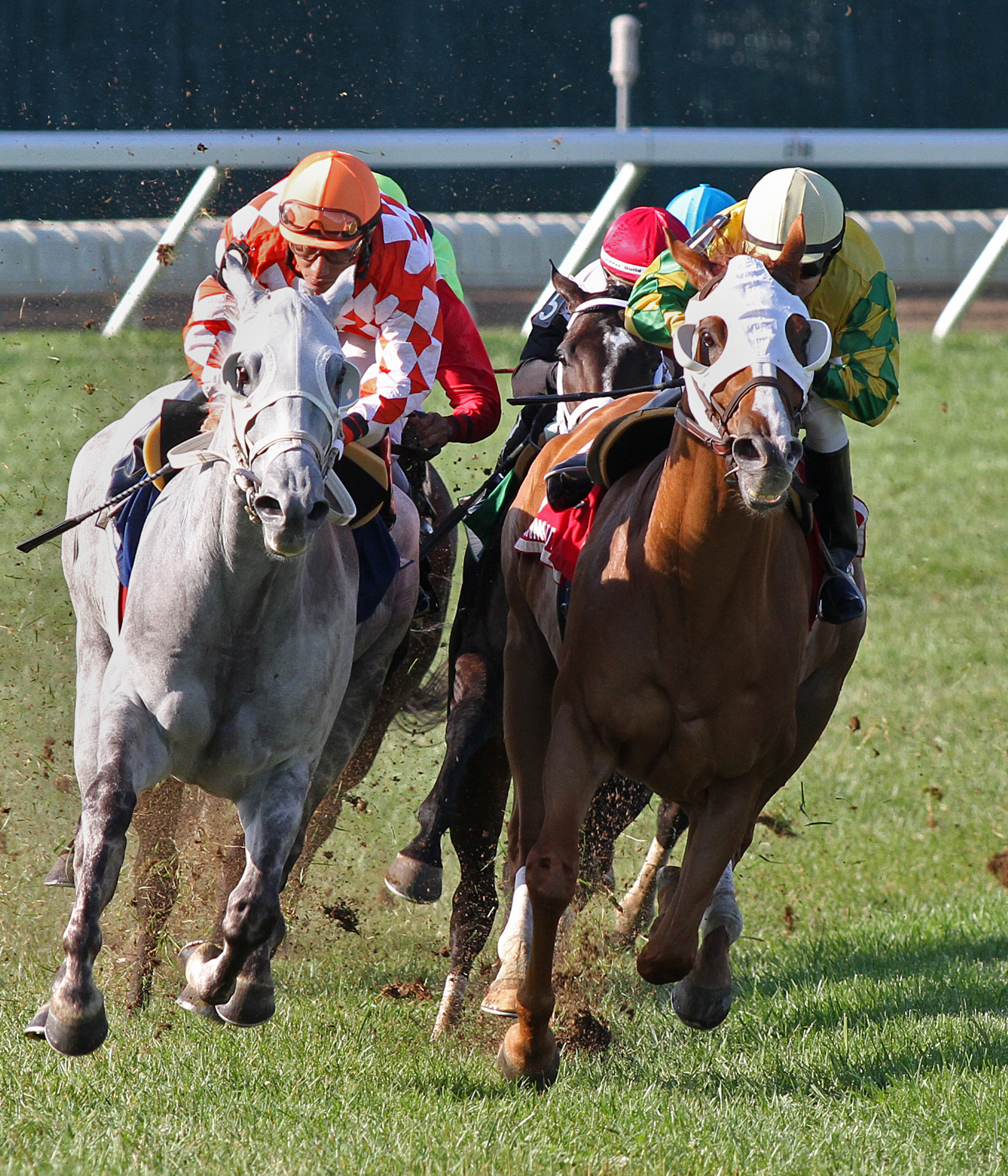 Tune Me In and Get Serious/Oceanport Stakes