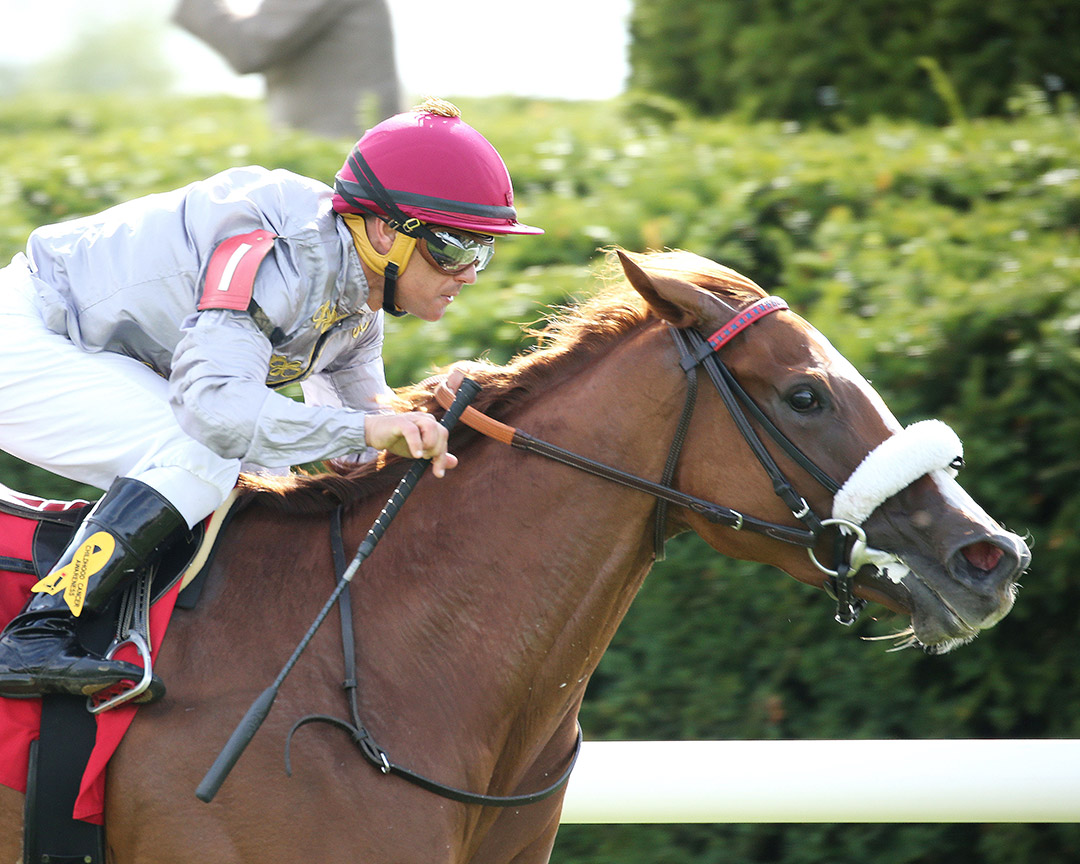 Tuned wins an October 2019 allowance at Keeneland