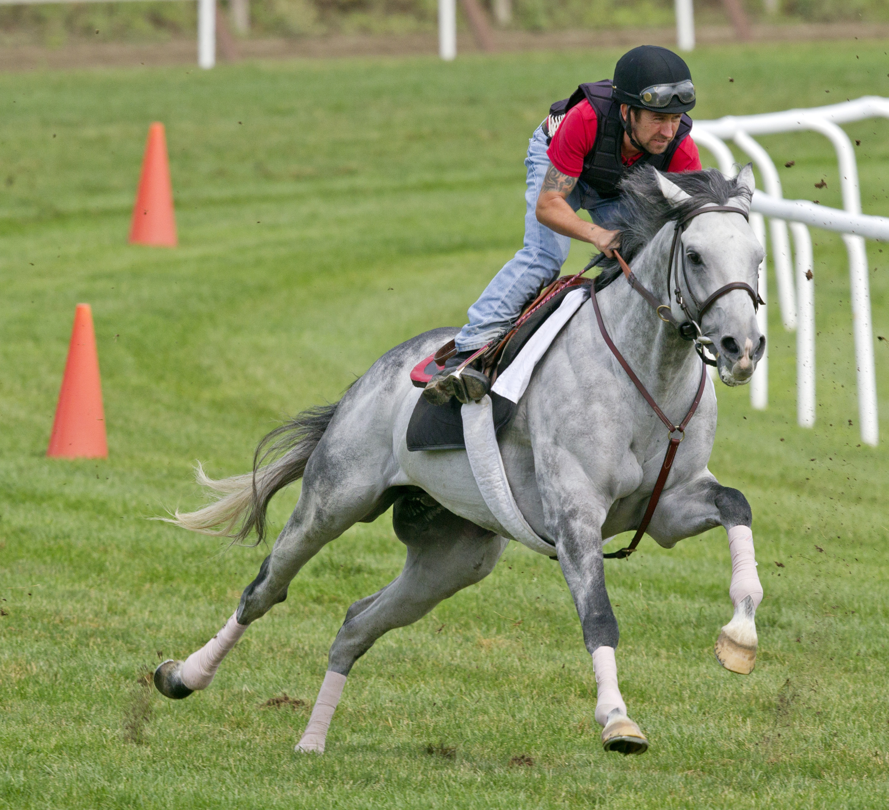 Turallure at Saratoga on July 22