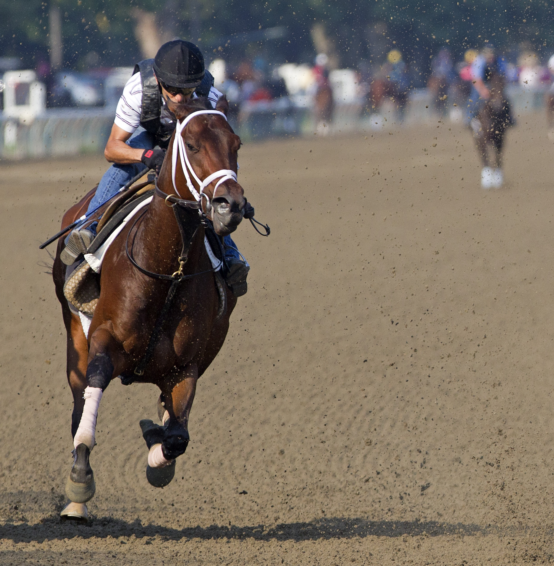 Turbulent Descent trains at Saratoga