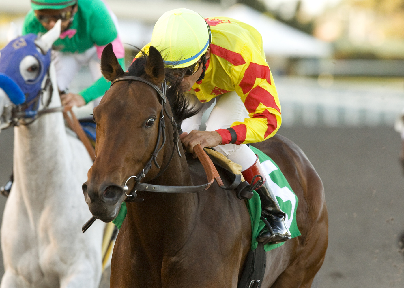 Turbulent Descent wins Moccasin