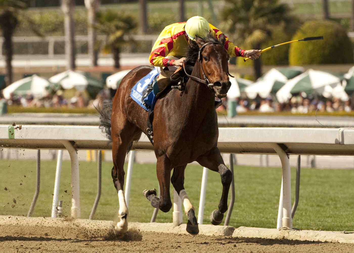 Turbulent Descent/Santa Anita Oaks