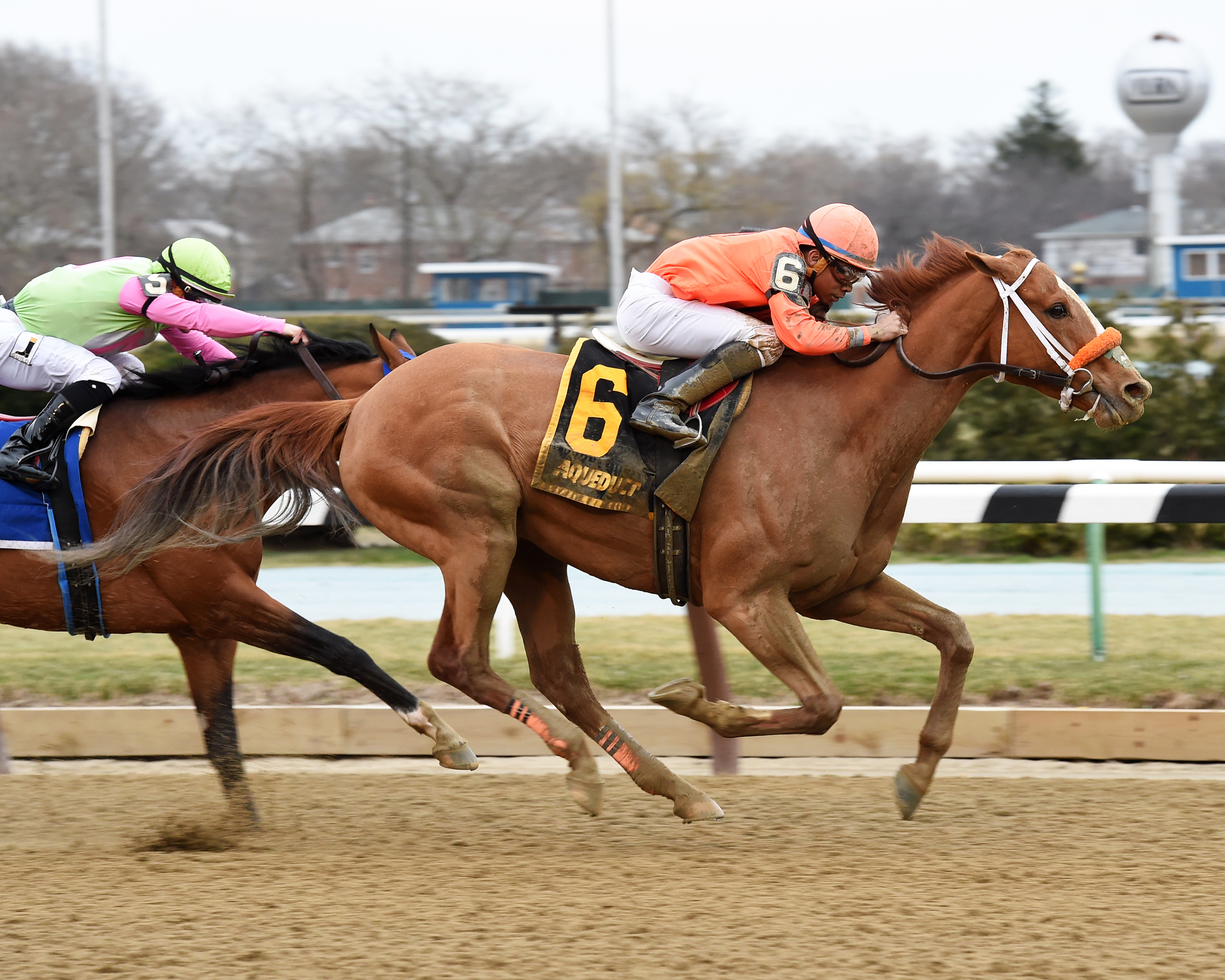 Turco Bravo wins the Stymie Stakes