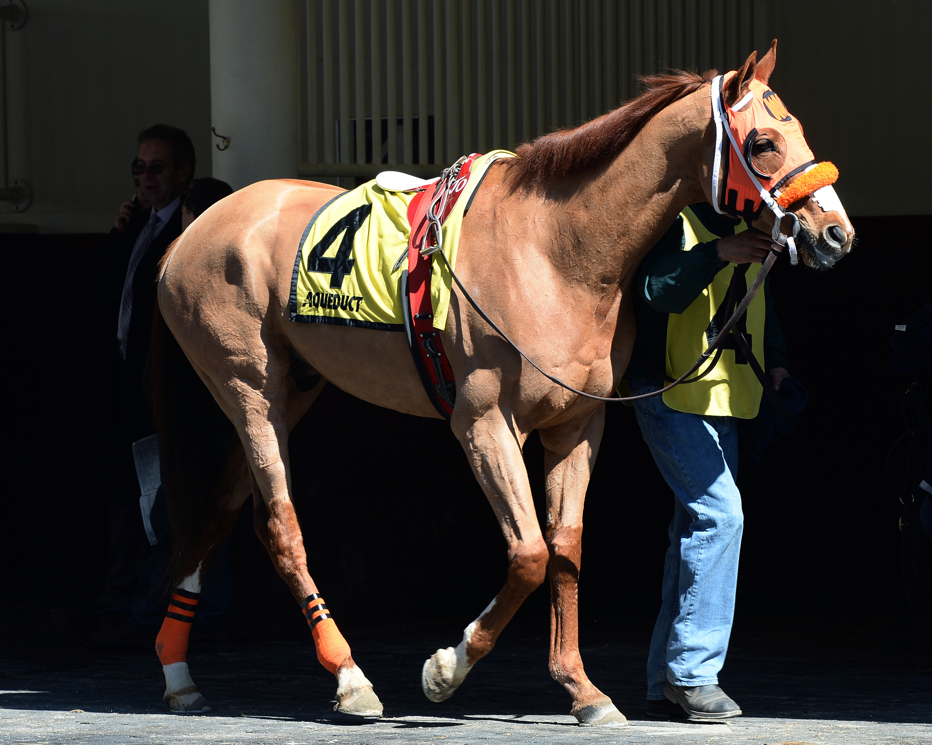 Turco Bravo at Aqueduct Racetrack