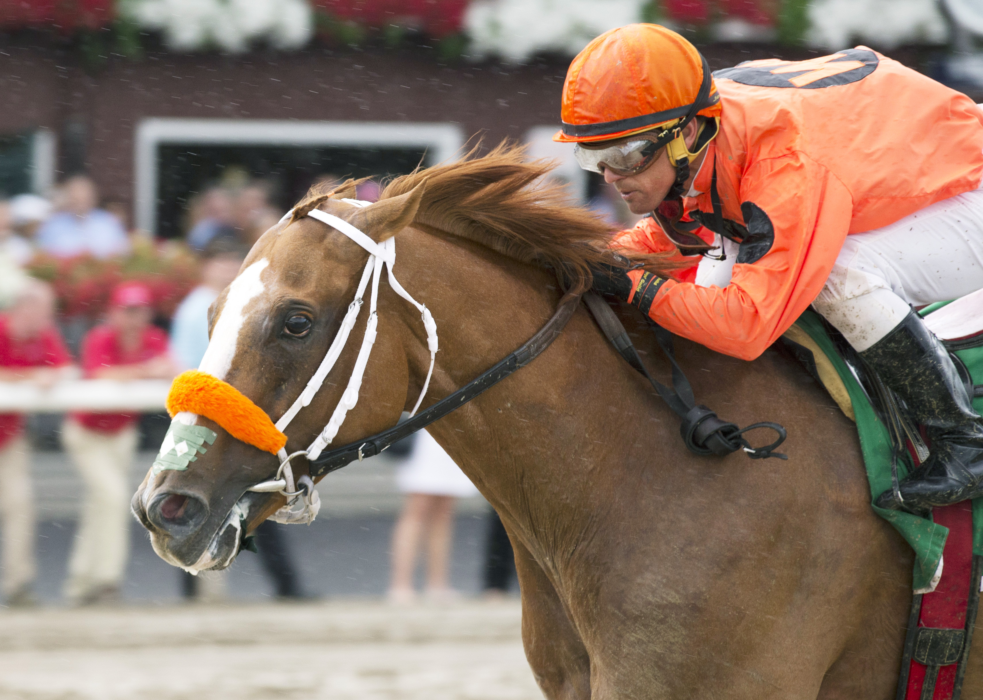 Turco Bravo wins the 2016 Birdstone