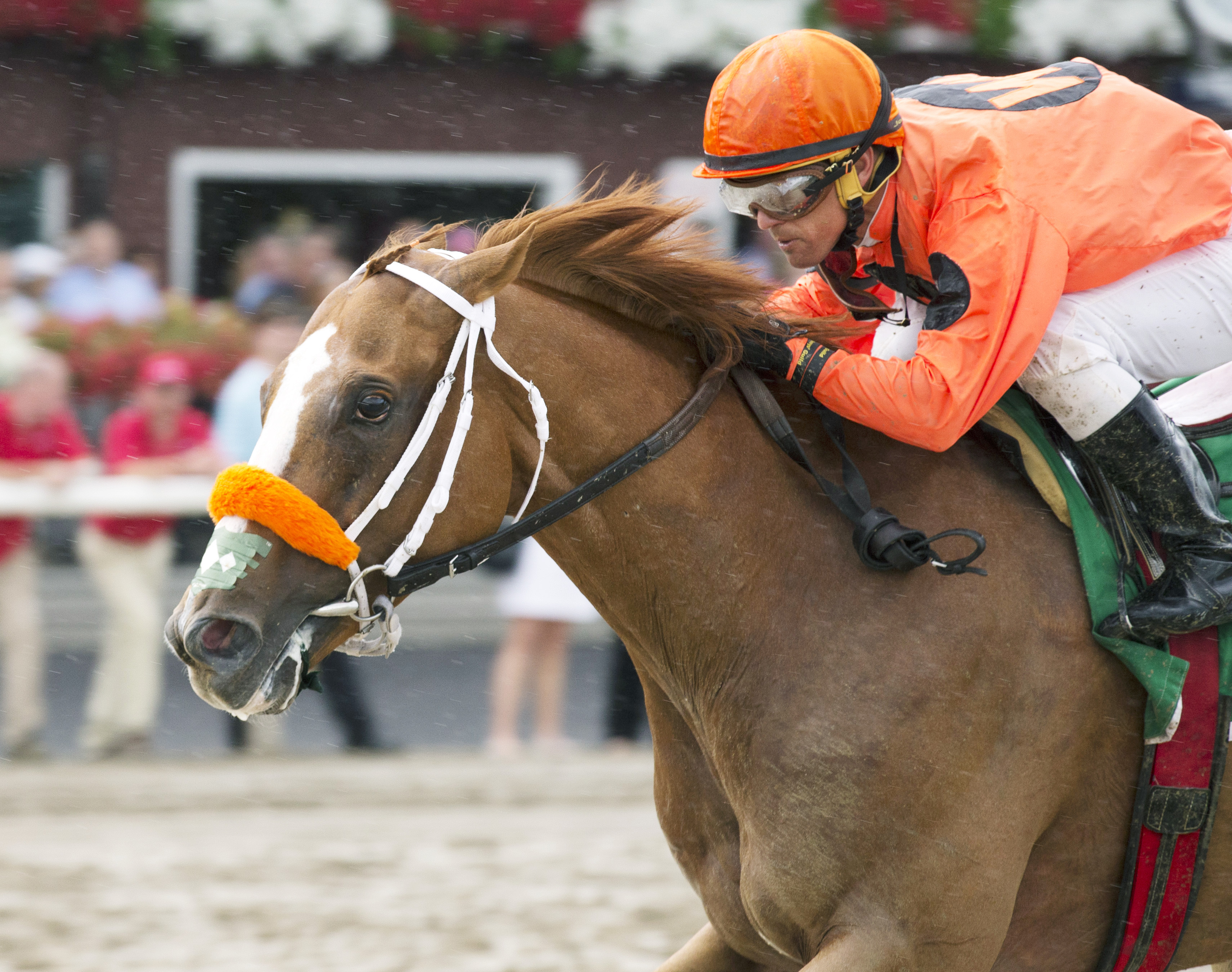 Turco Bravo wins the 2016 Birdstone