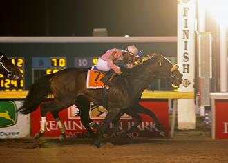 Turf Melody wins the Springboard at Remington - Dec. 13, 2009