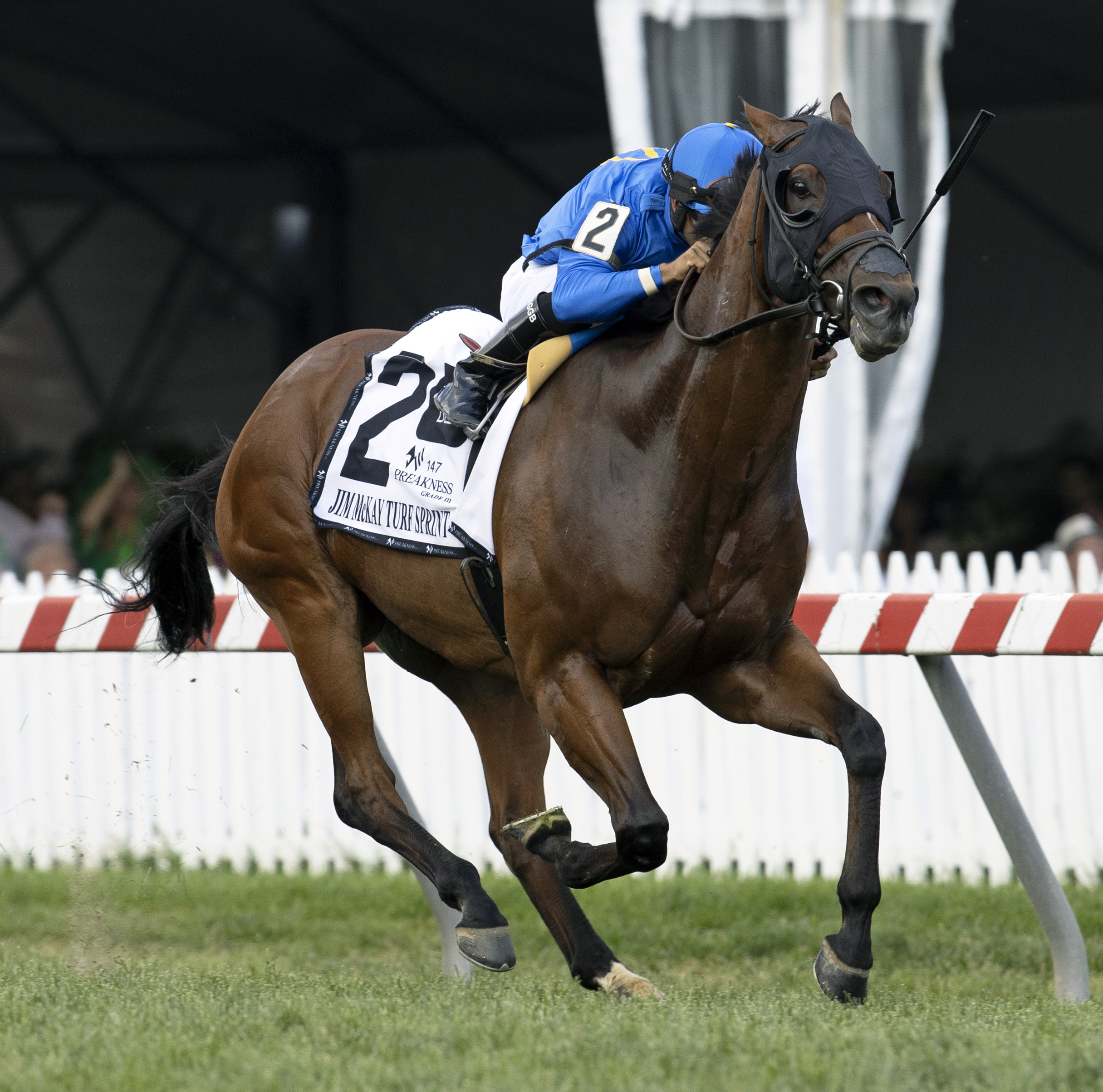 Carotari wins Turf Sprint 5-21-2022