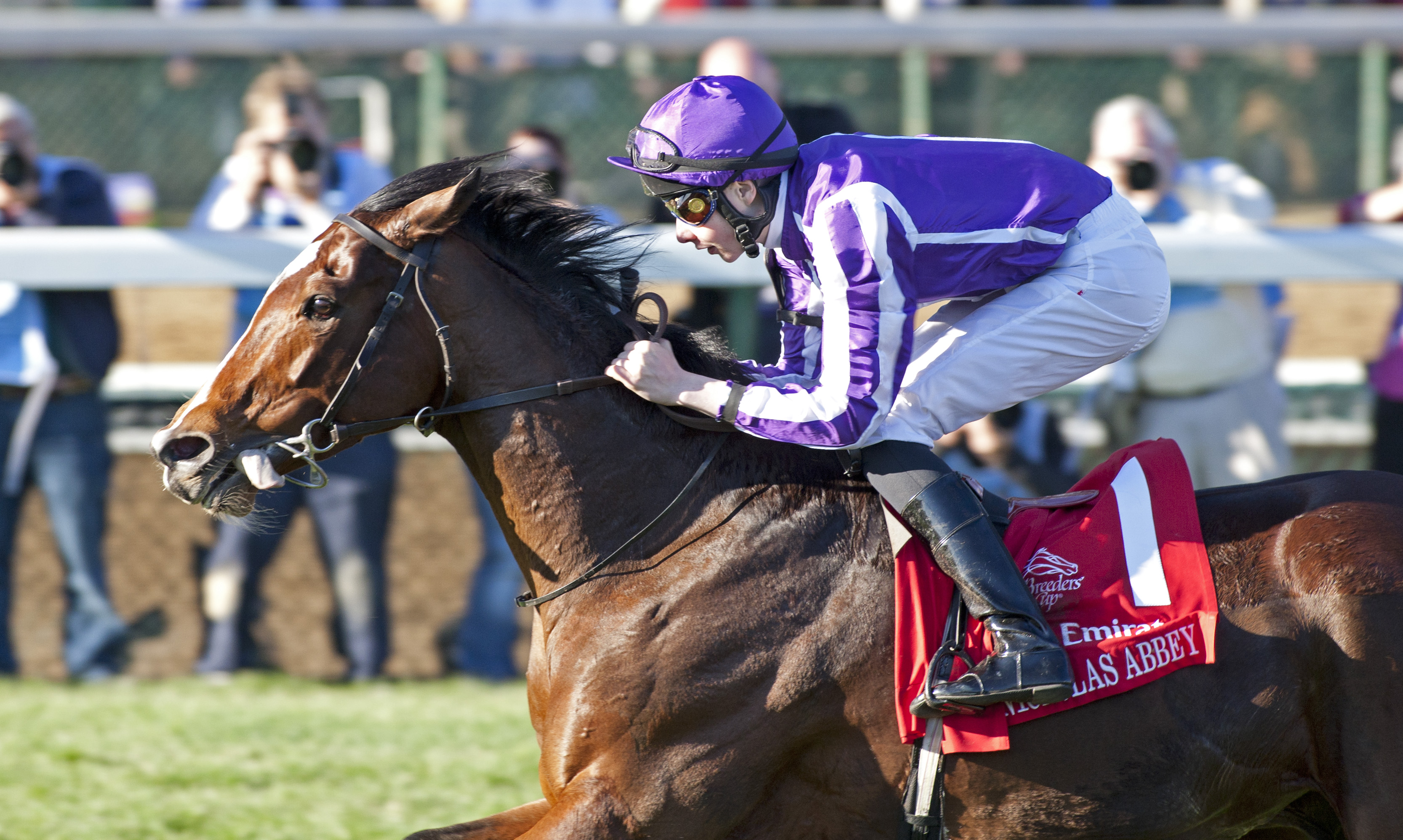 St Nicholas Abbey and jockey Joseph O'Brien, 18