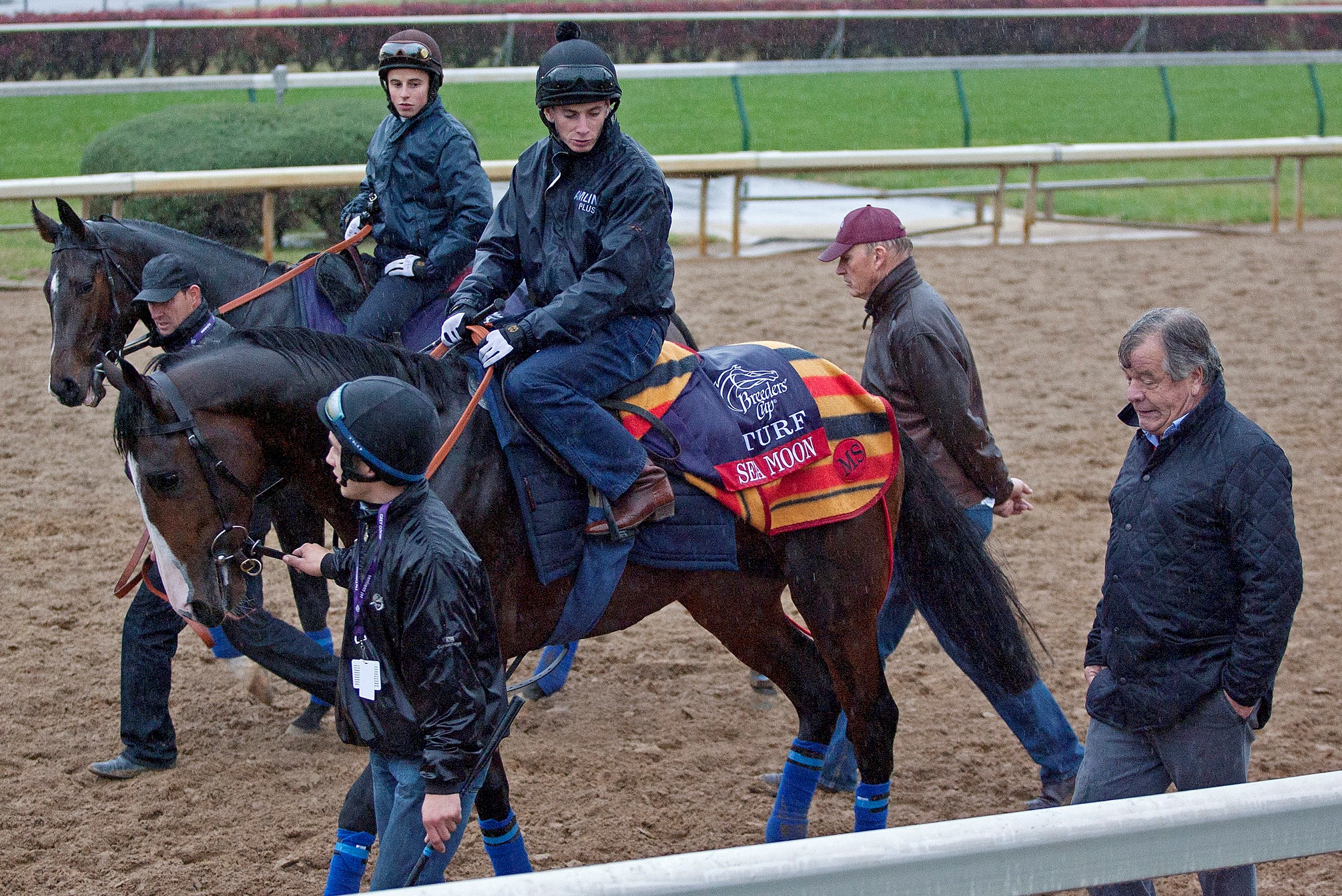 Stoute, Gosden, Nov. 3, 2011